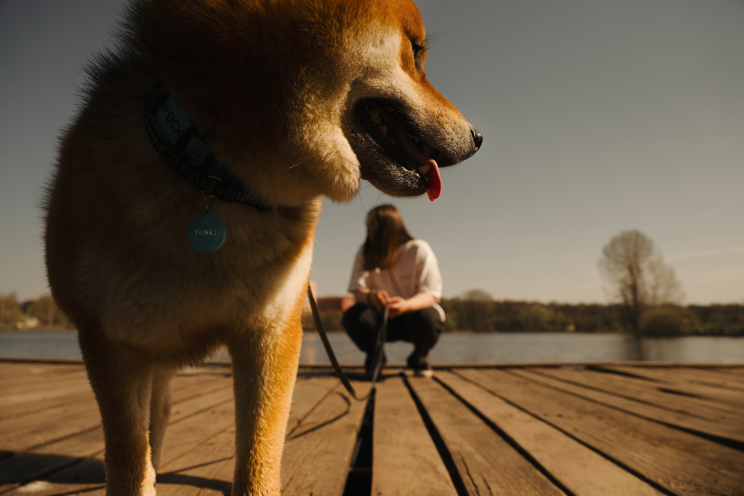 Юнки. Фотограф- анималист Александра Матвеева