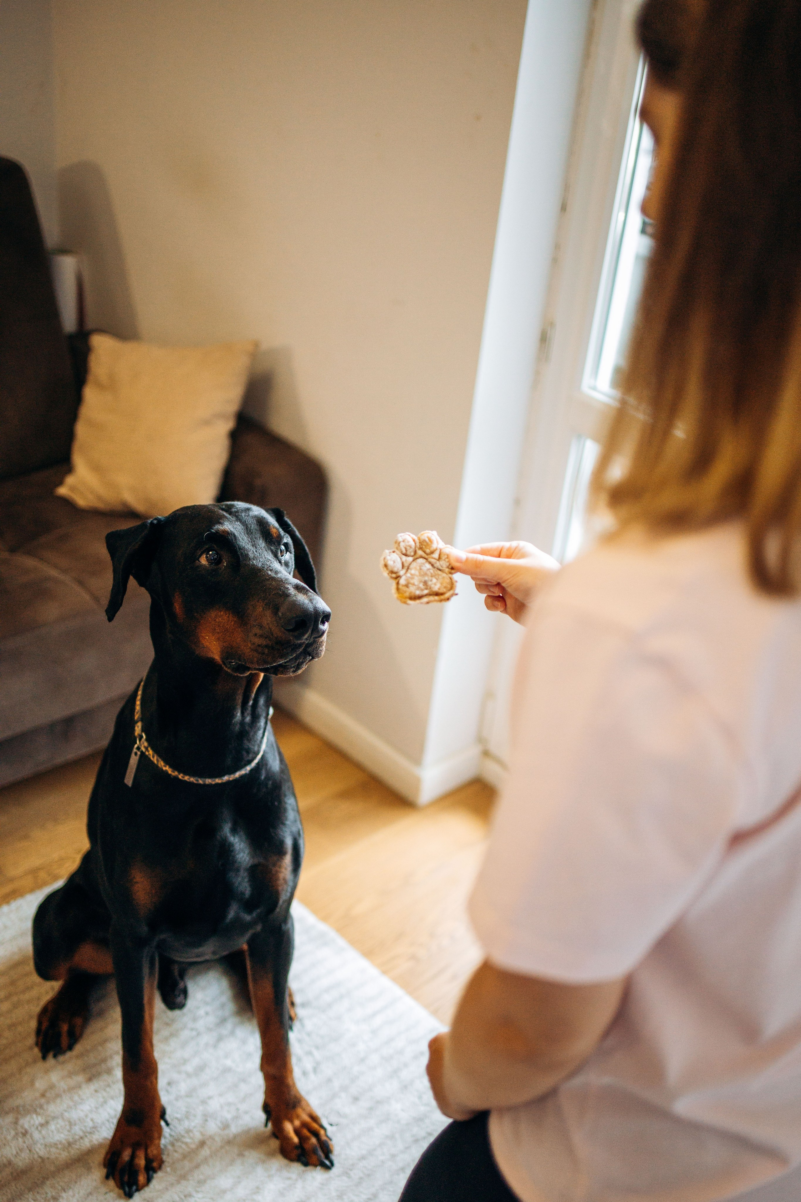 Катя и Конор