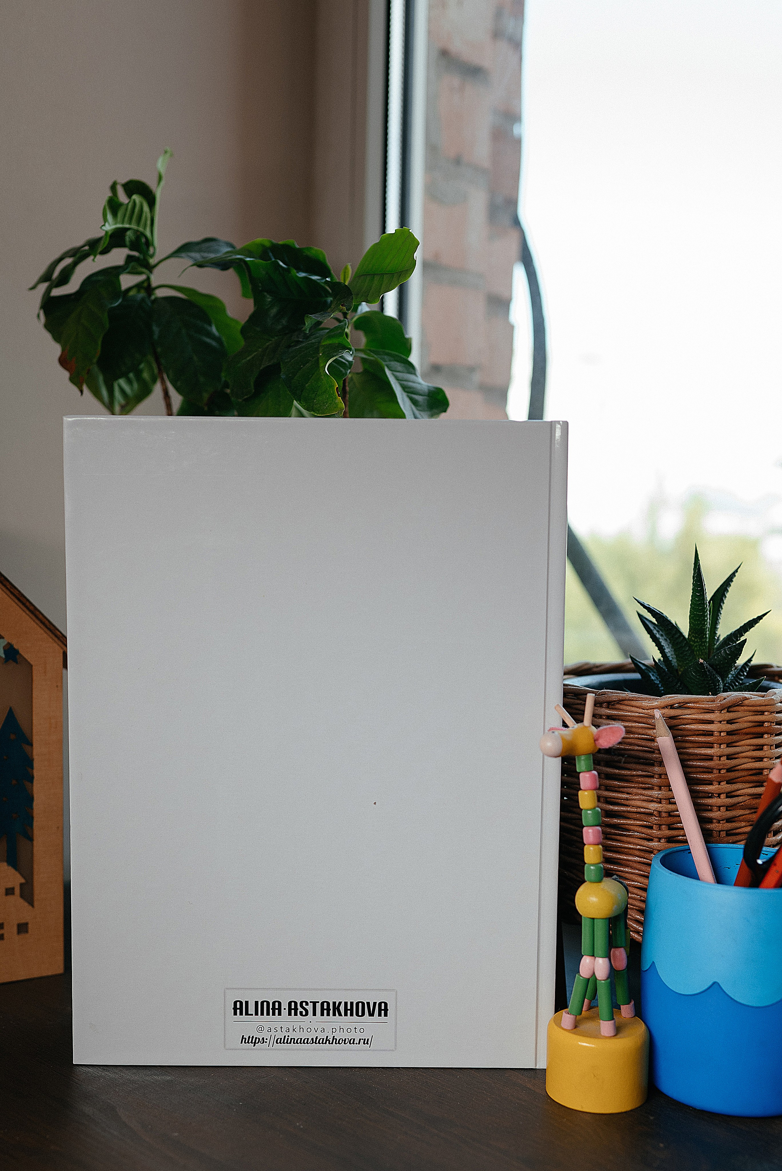 Классика. Свадебный и семейный фотограф в Ростове-на-Дону Алина Астахова