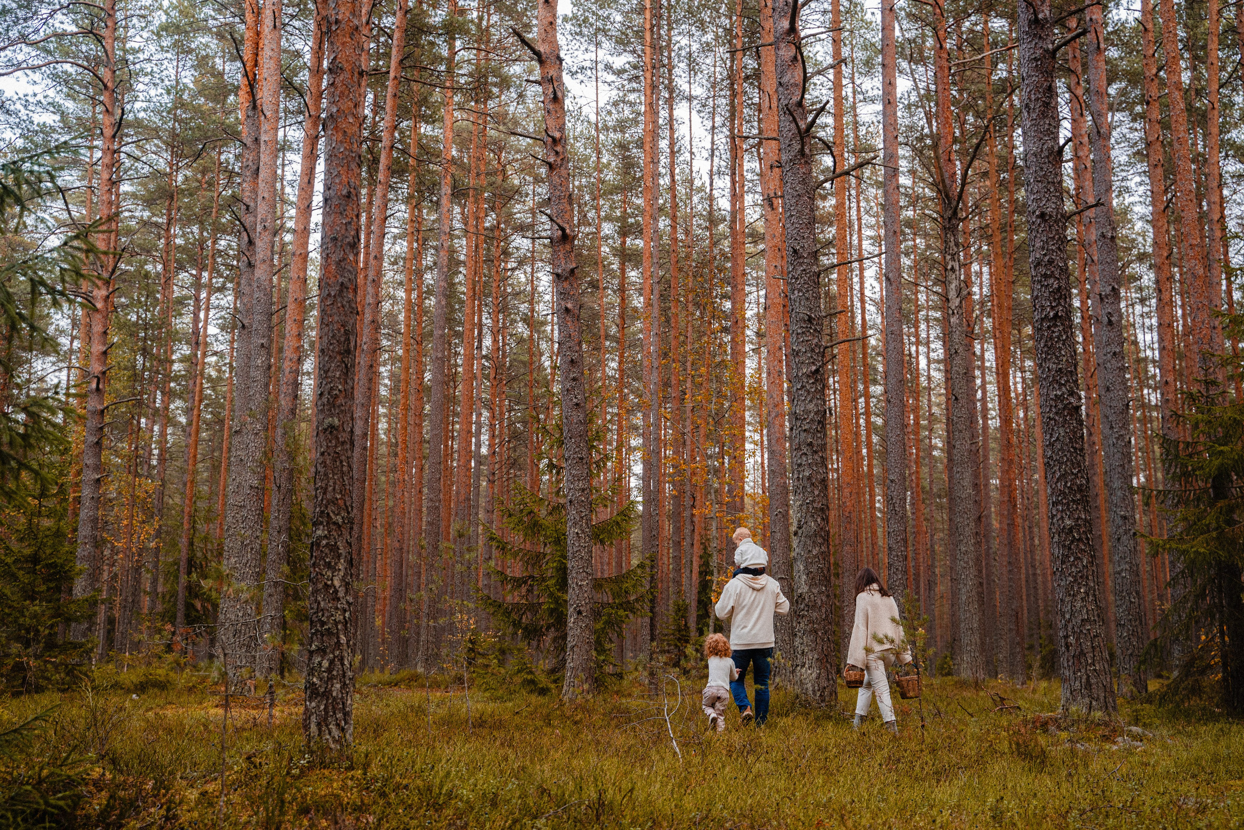 Осенью в лесу!. Бренд и контентные фотосессии, портреты и лавстори в Санкт-Петербурге