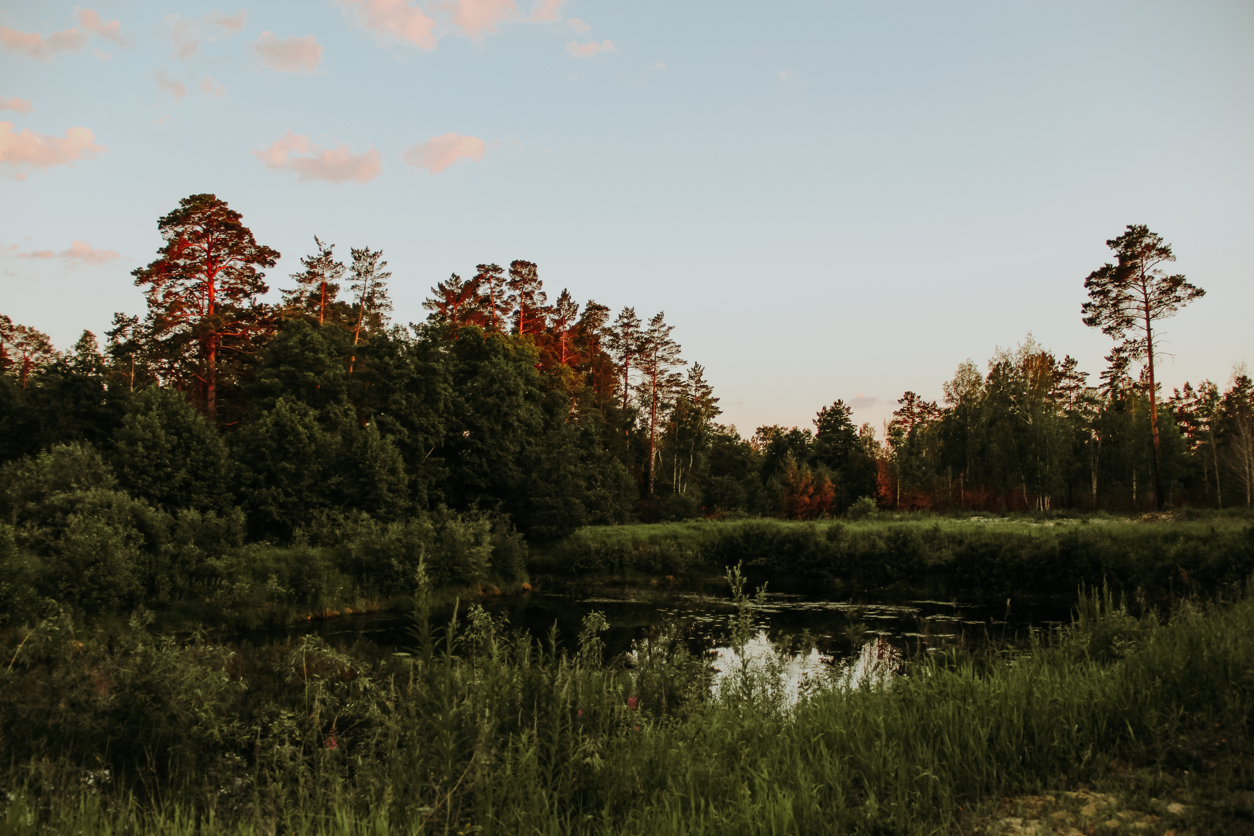 Создаем продающий визуальный контент для бизнеса. Студия контента «СВОЕ МЕСТО»