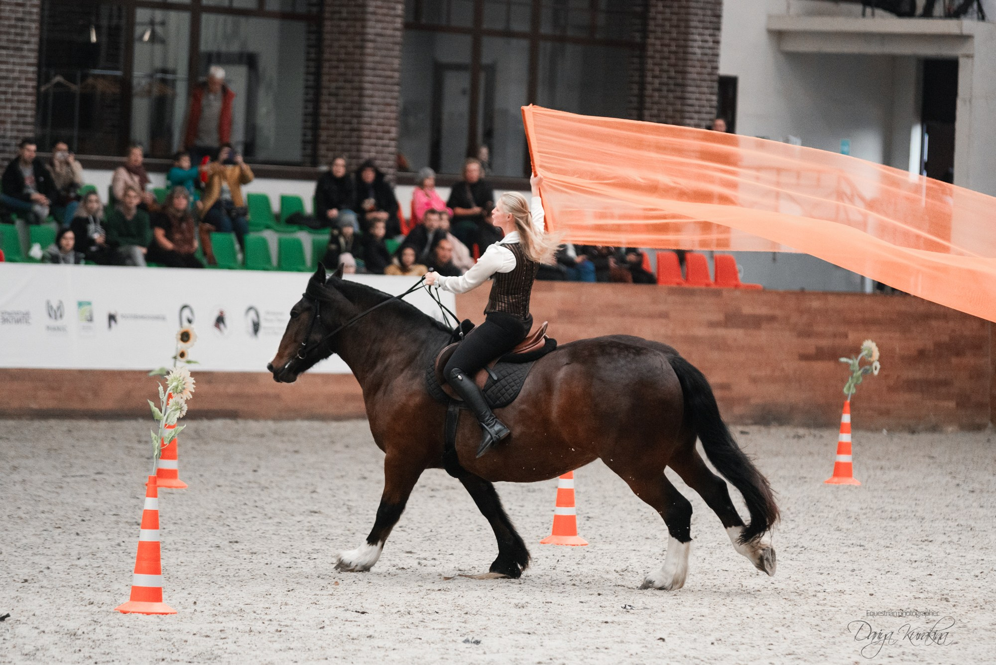 8-я международная выставка Конная Россия. Конный фотограф Куракина Дарья • Фотосессии с лошадьми