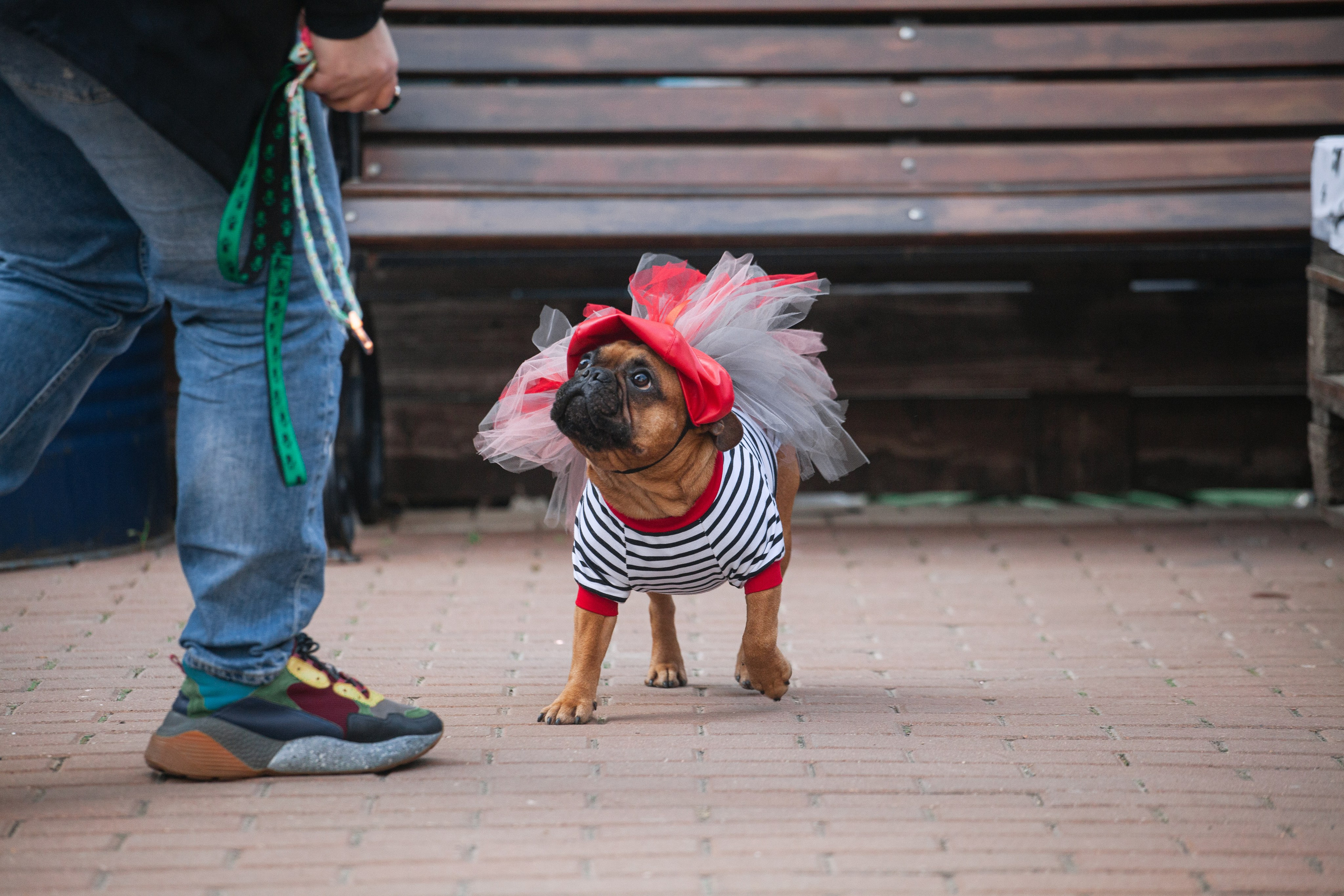 Бульбалл 23.04.2023. Фотограф-анималист Татьяна Степанова