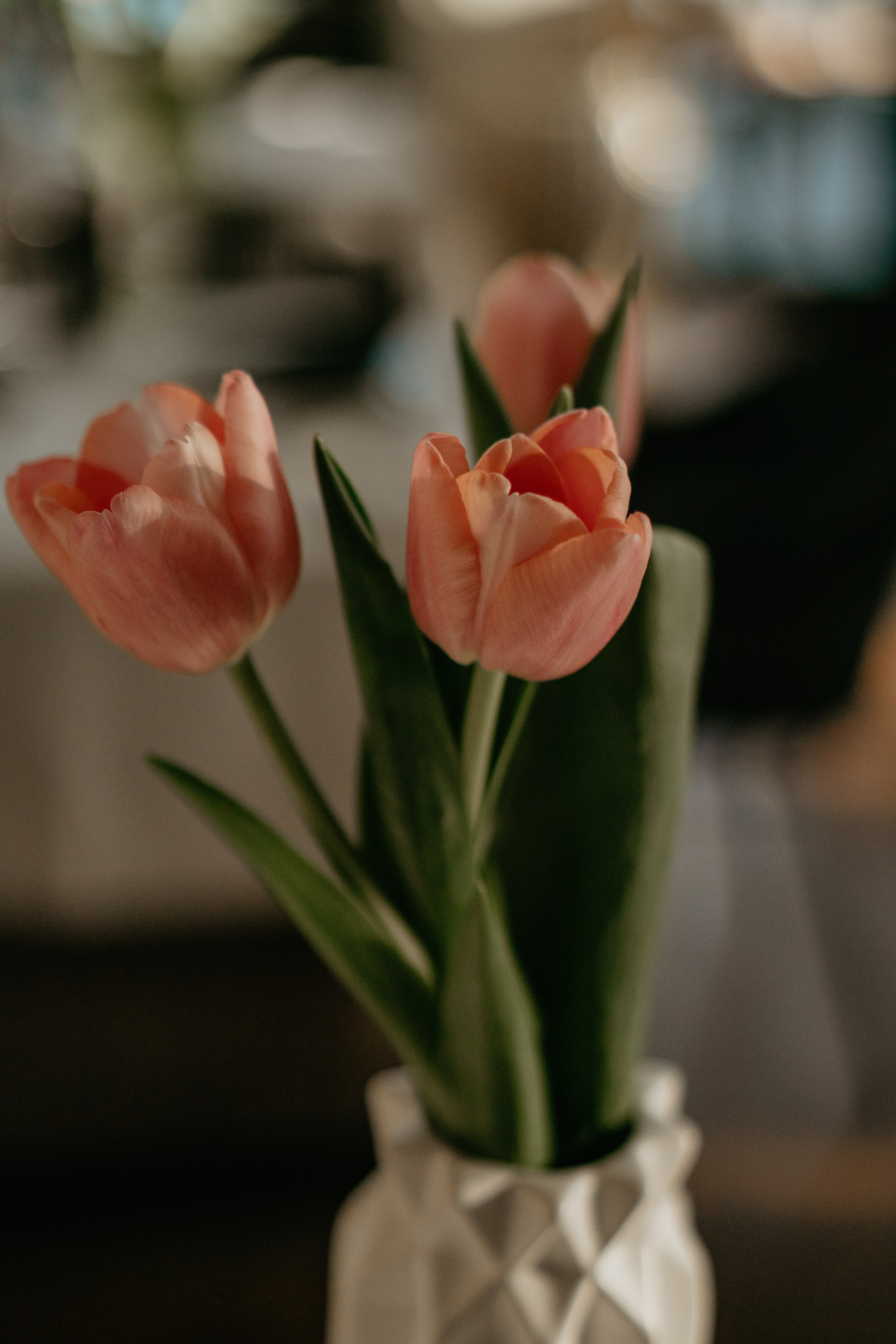 Ужин в Modus. Фотограф и Видеограф Севастополь Крым