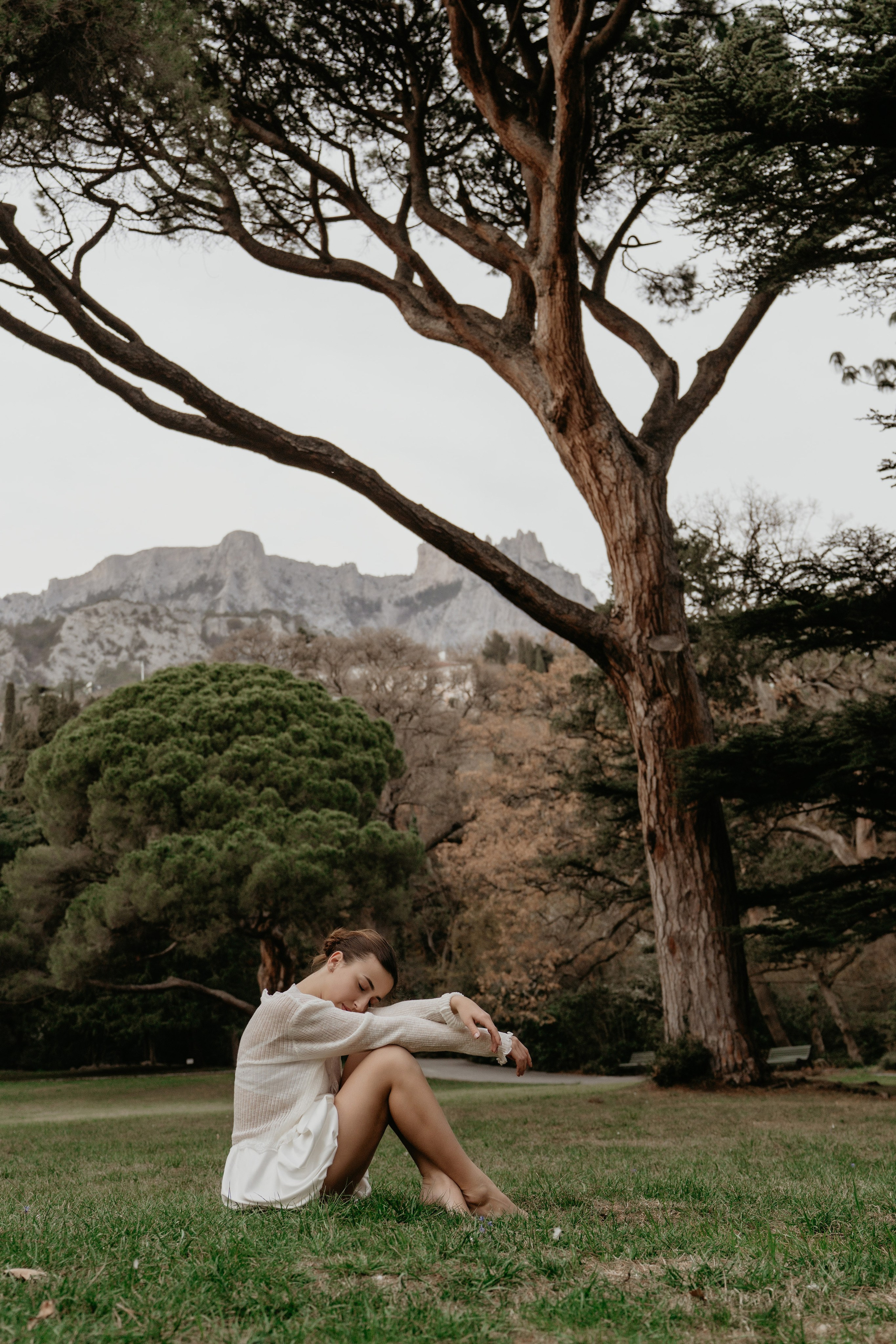 Под кроной вечности. Фотограф и Видеограф Севастополь Крым