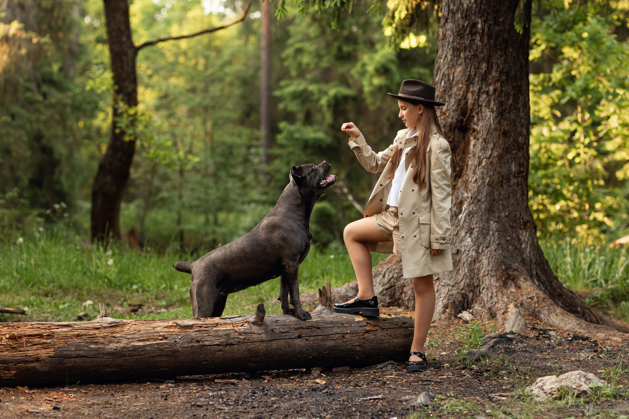 Собака Баскервилей. Детский и семейный фотограф в Москве Анна Ипатьева
