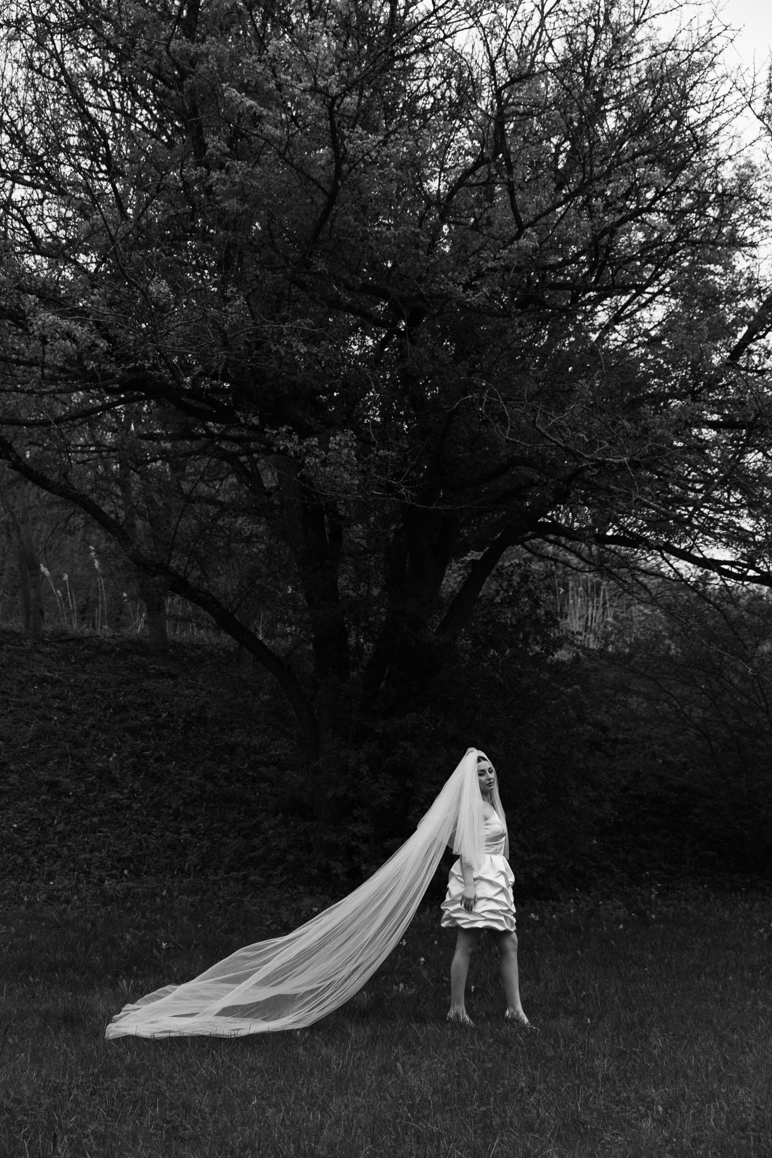 С&А. Свадебный фотограф