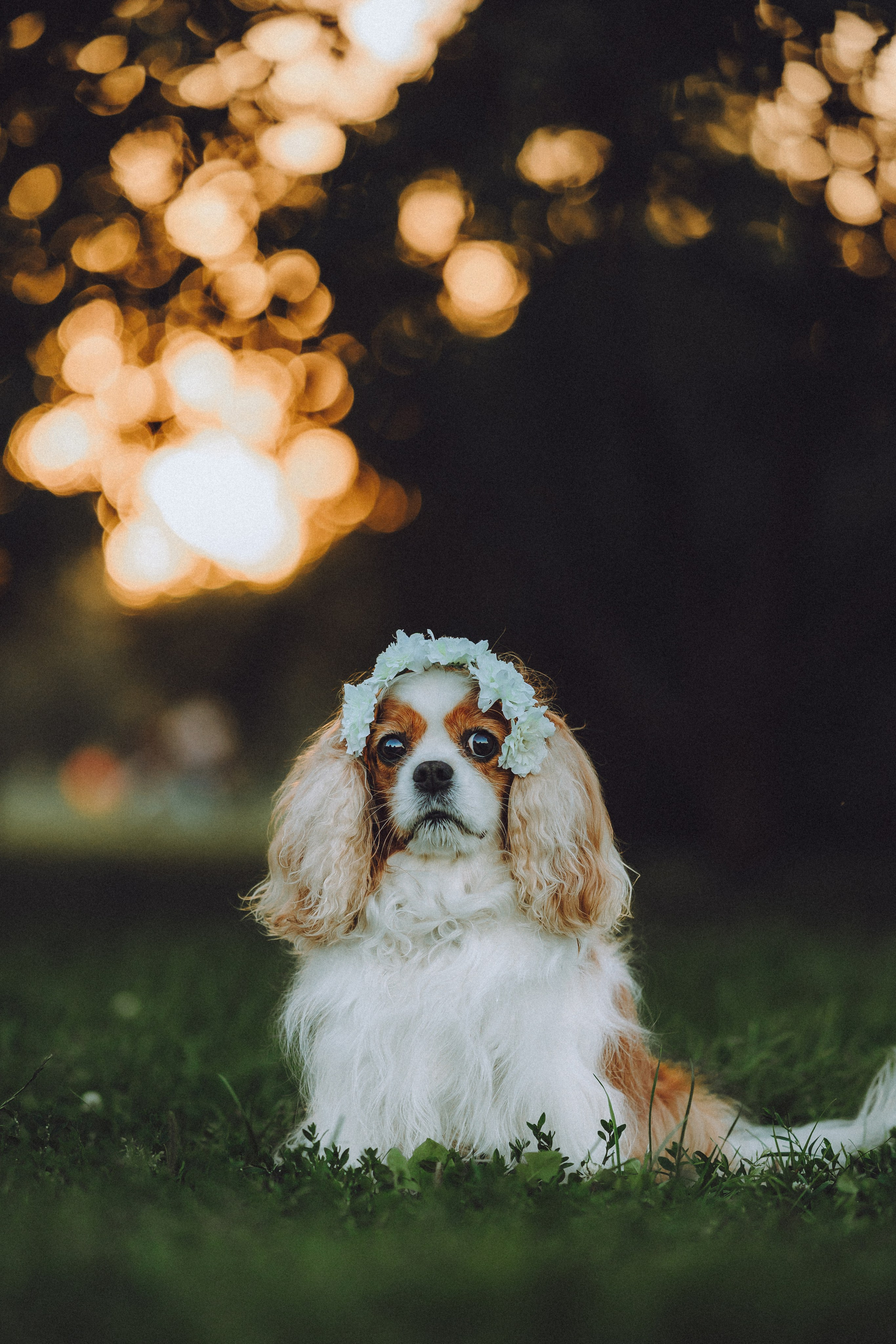 Наташа и Вики