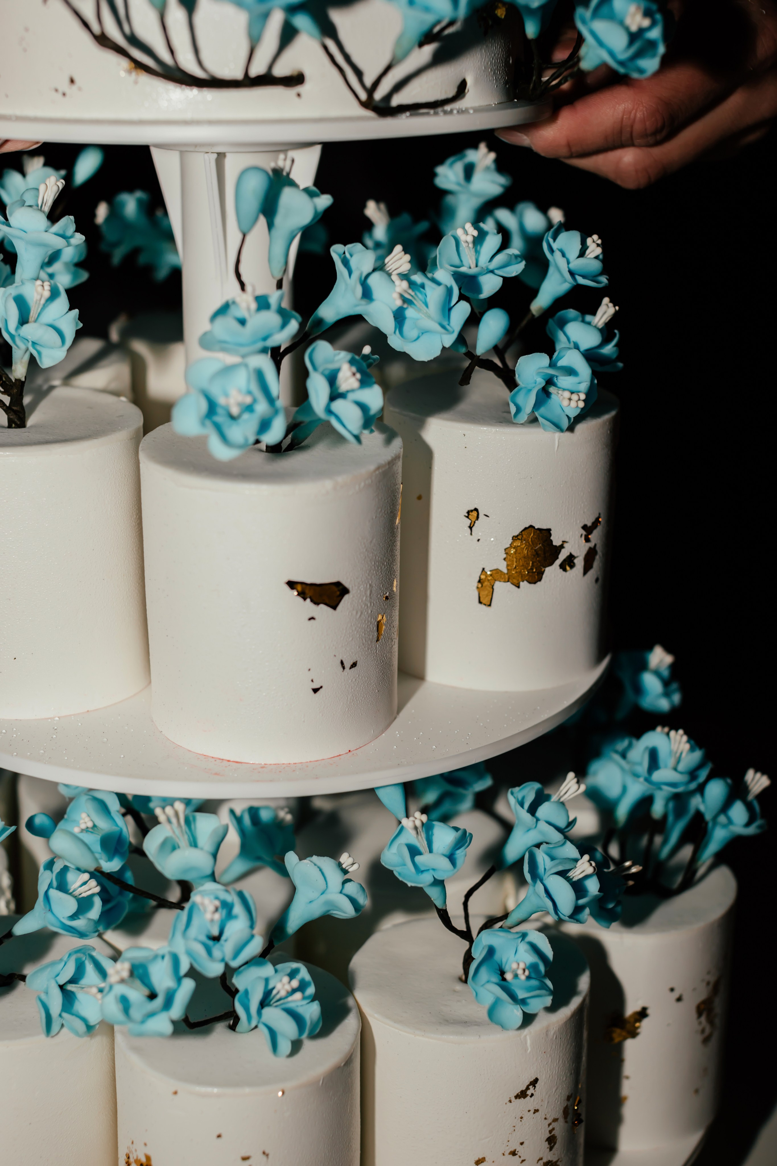 Свадьба Сергей и Ангелина. Анастасия Давыдова