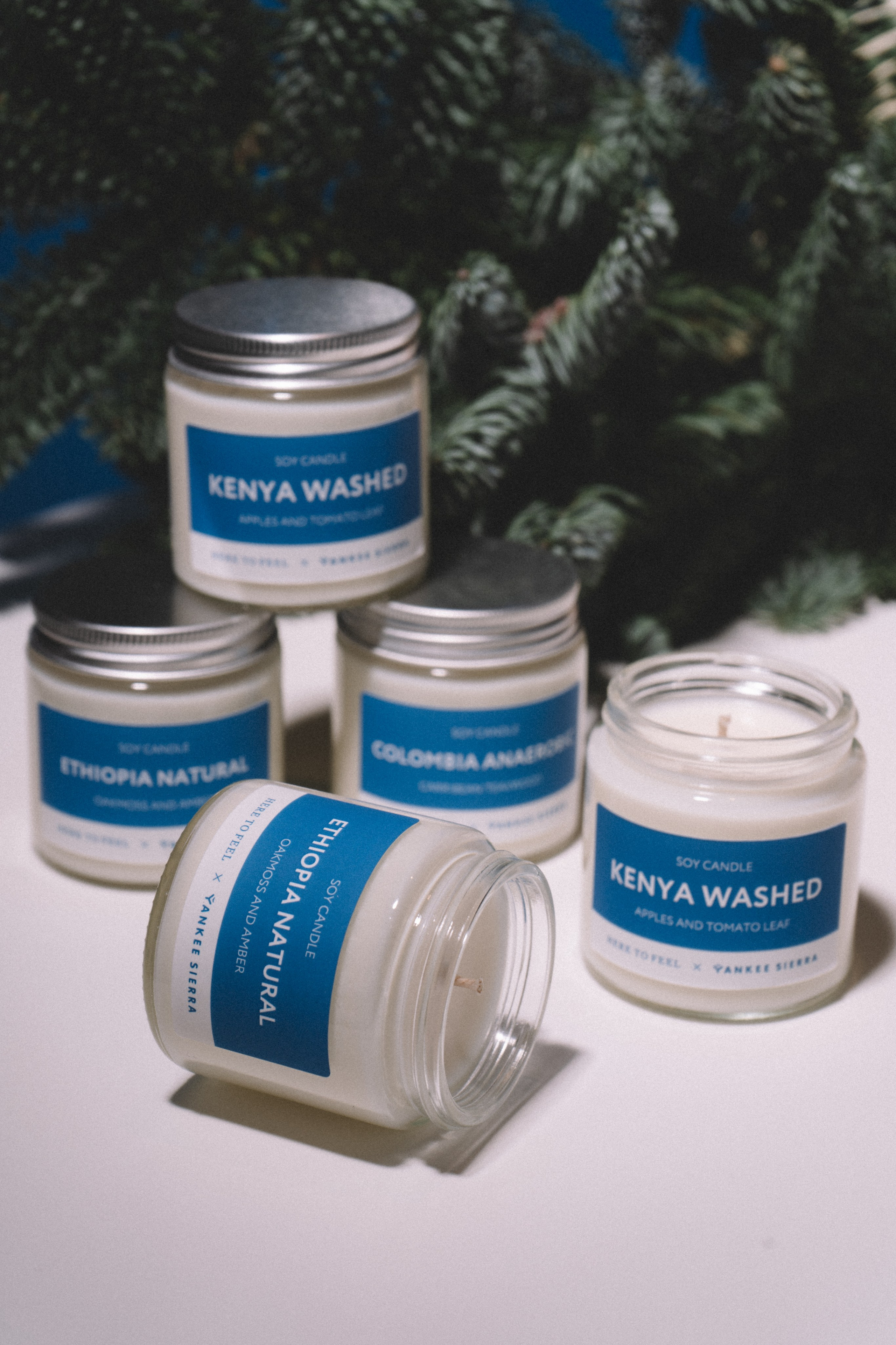 Yankee sierra. Анастасия Попова — Fashion photographer