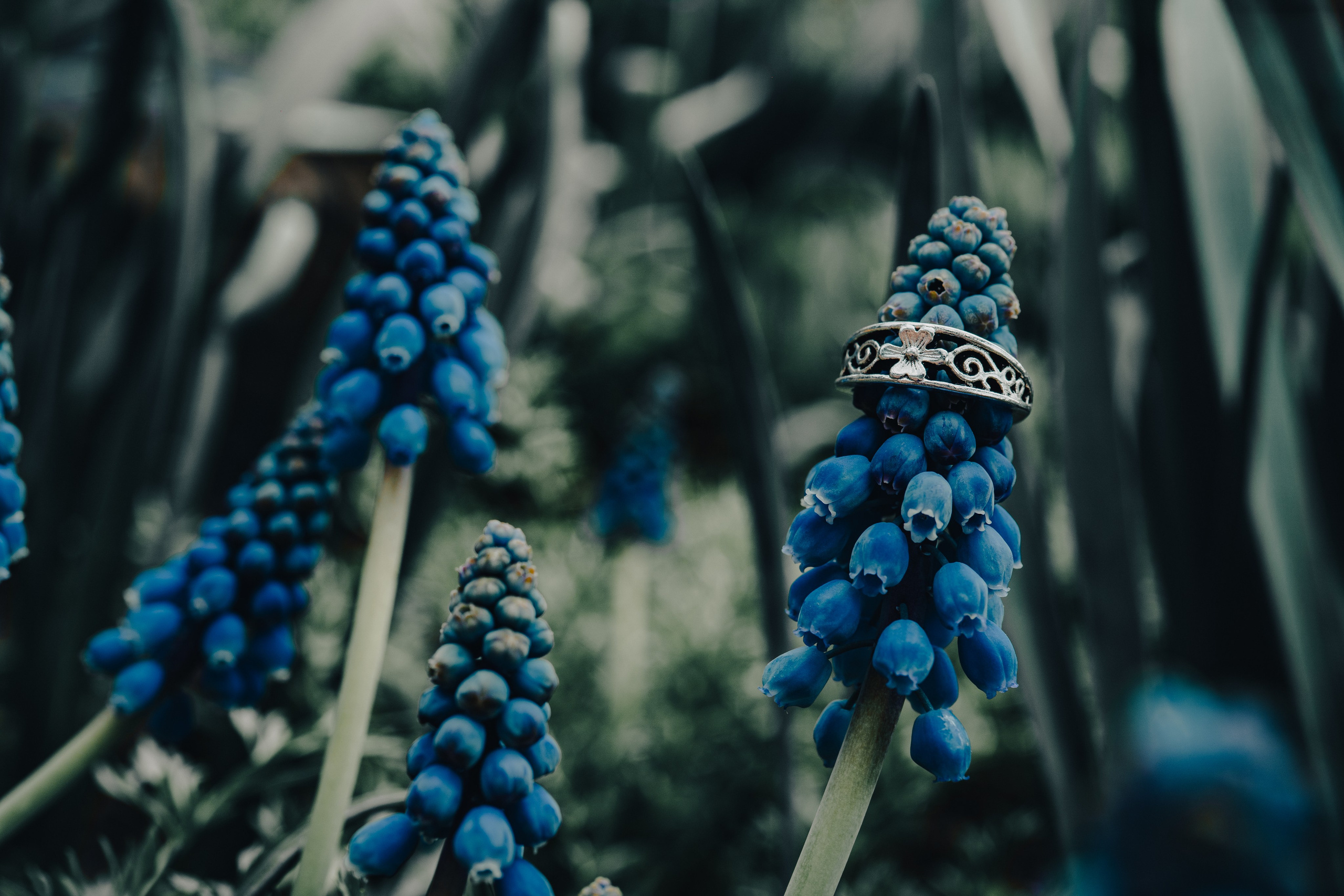 Съемка для брендов одежды КМВ Пятигорск, Железноводск, Ессентуки, Кисловодск Архыз Домбай Фотосессия. Фотограф КМВ|ГОРЫ Пятигорск Железноводск Ессентуки Кисловодск Домбай Архыз Эльбрус