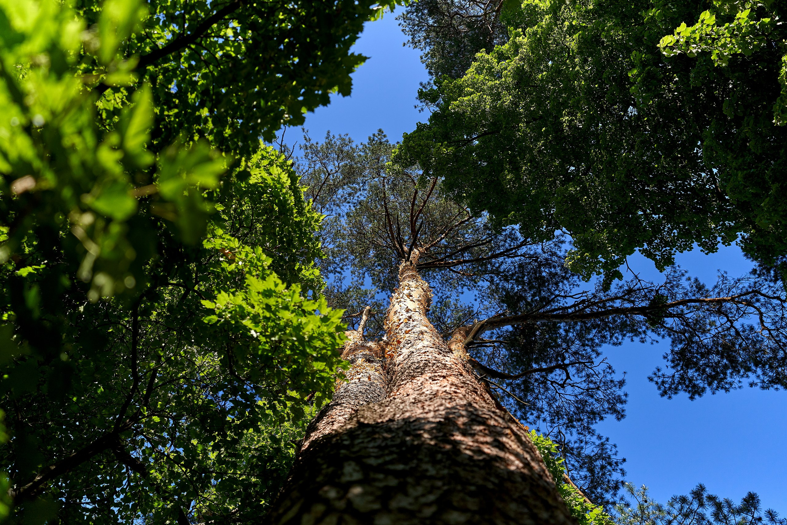 Пейзаж — галерея NATRIEL
