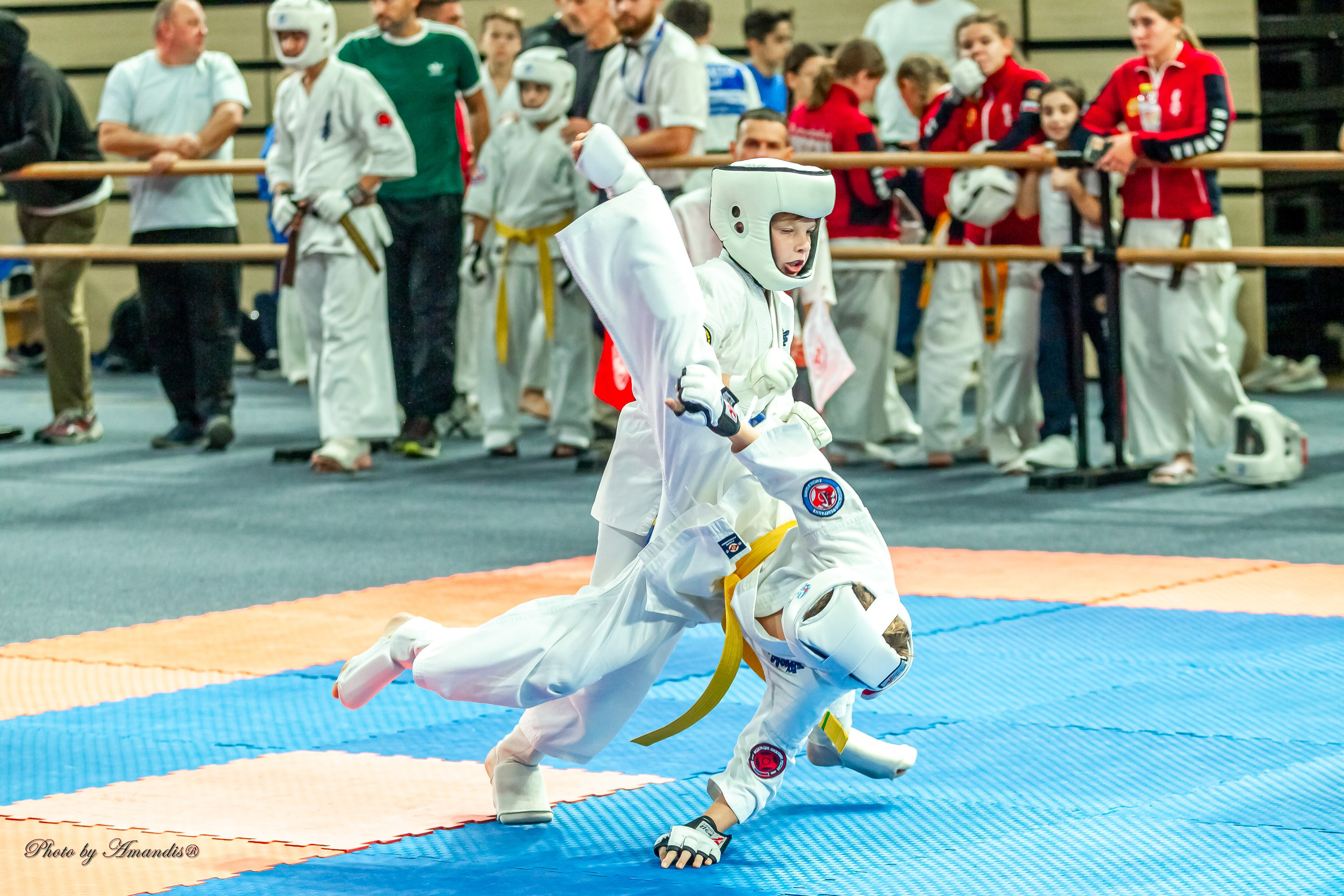 Первенство Московской области по Киокушин в СК «Жаворонки». Репортажная съемка в Москве и области. Анималистика