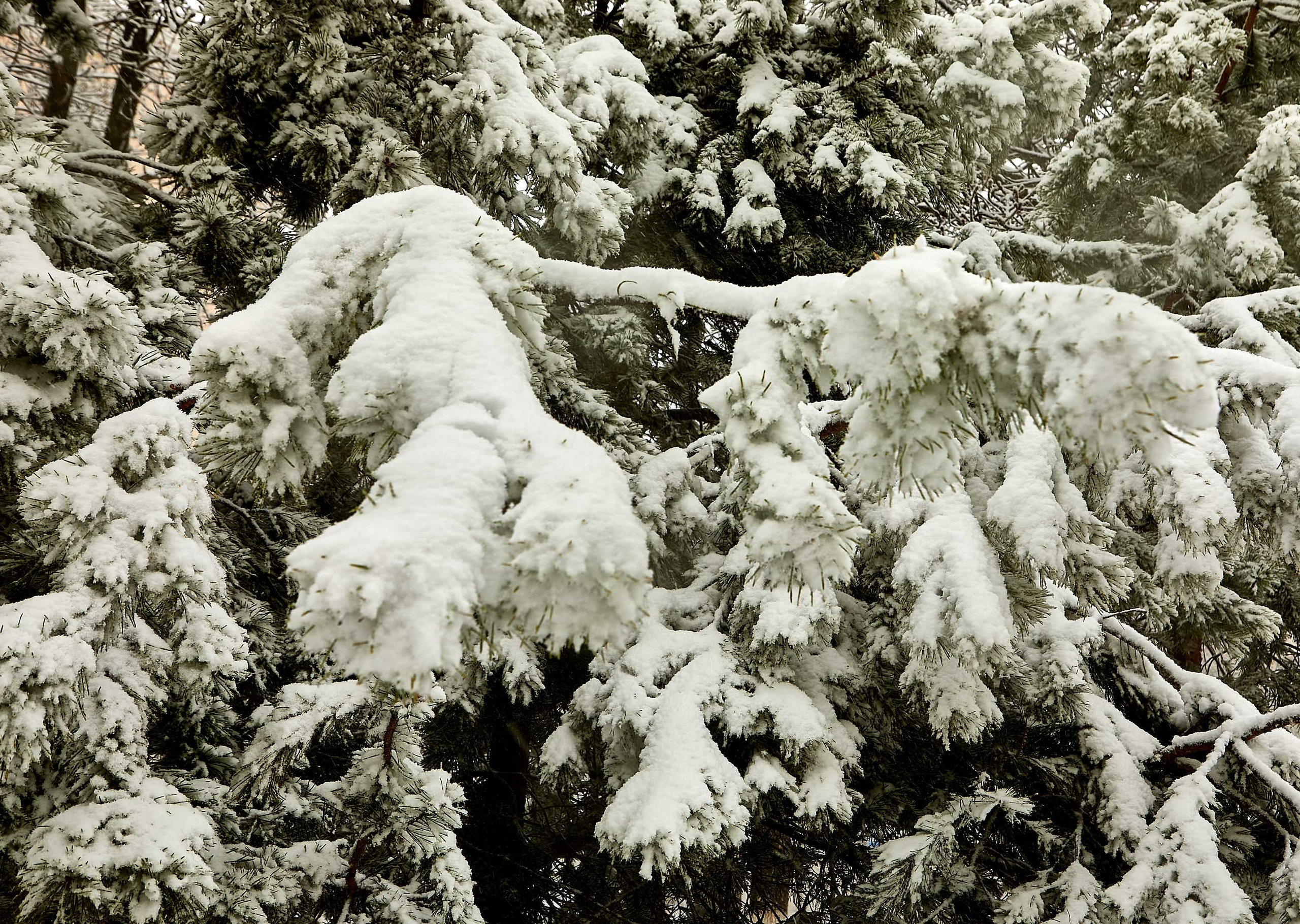 Видовые фото УГНТУ. УГНТУ — Ведущий нефтегазовый вуз России