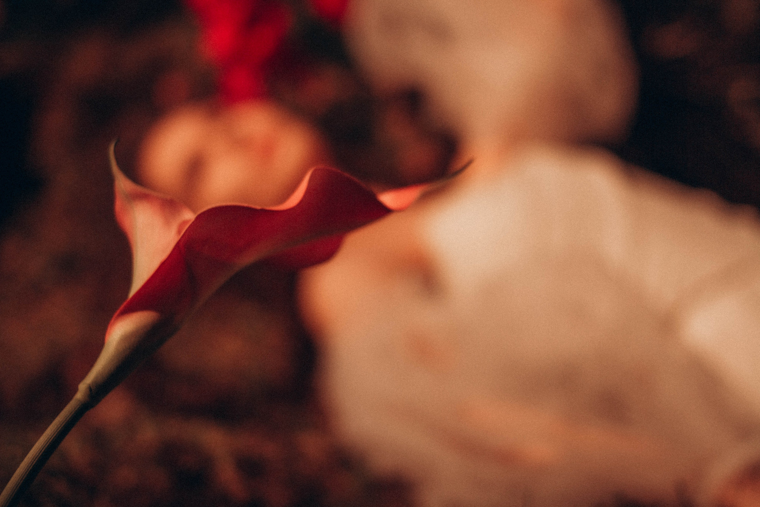 Флора в студии. Создадим шедевр? Виталина и её фотоискусство