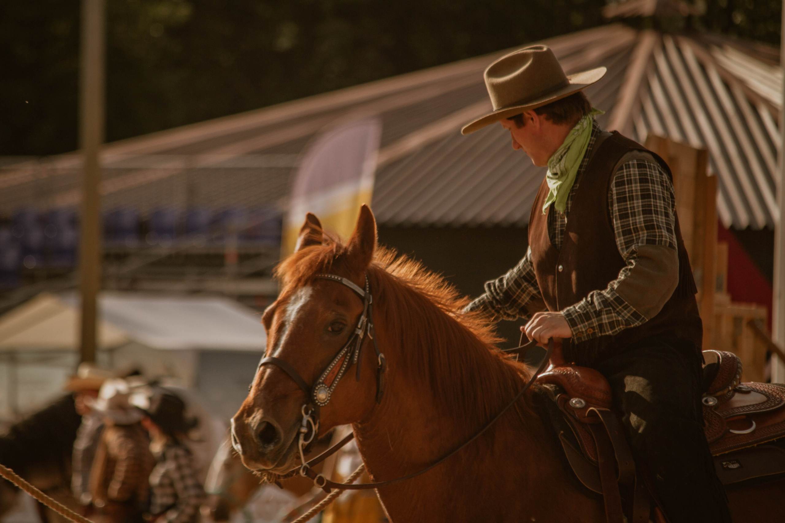 ИППОСФЕРА — Международная конная выставка. Создадим шедевр? Виталина и её фотоискусство