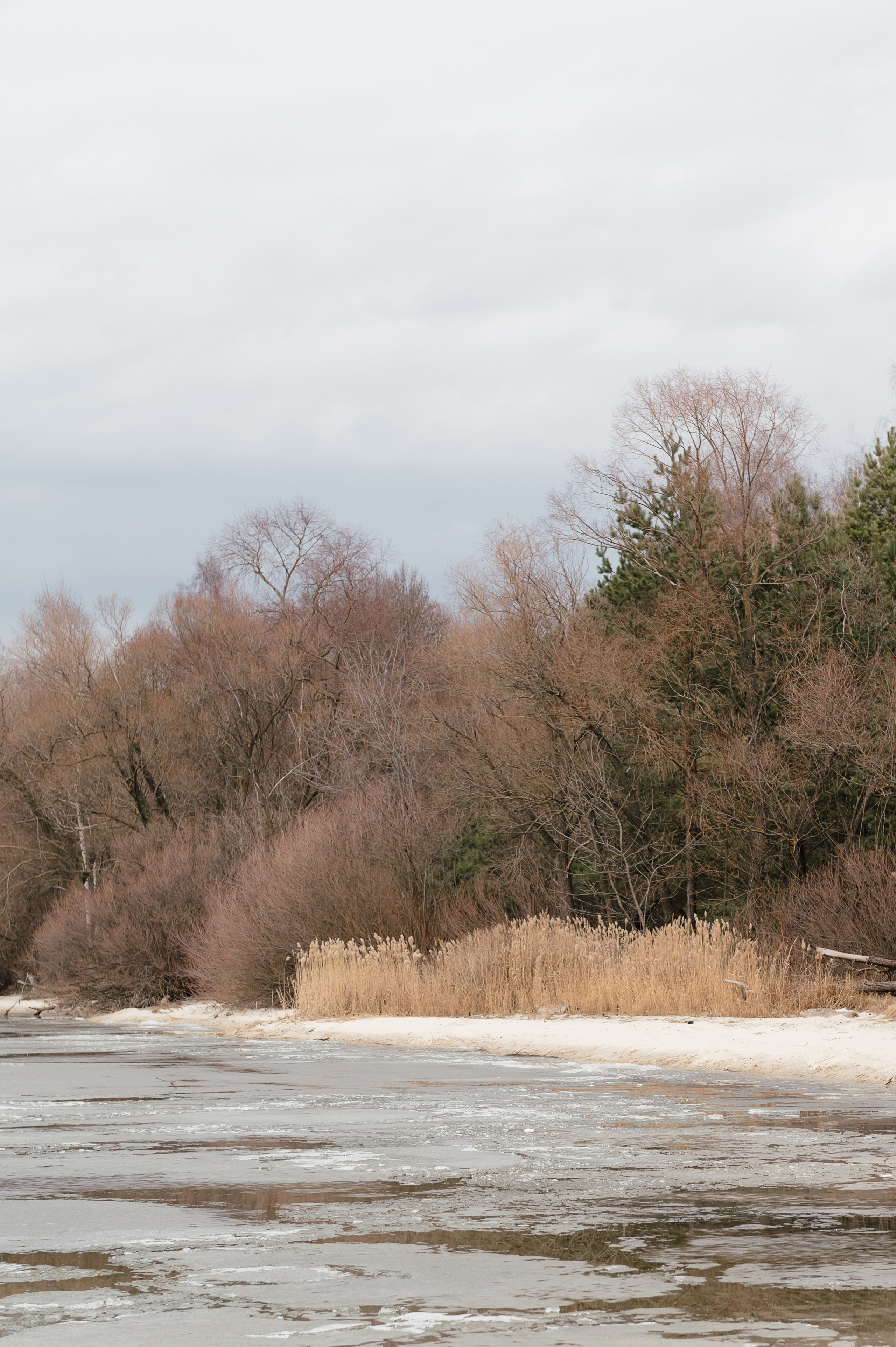 Александр и Эльвира, 2025. Свадебный и портретный фотограф в Липецке Анастасия Ролдугина