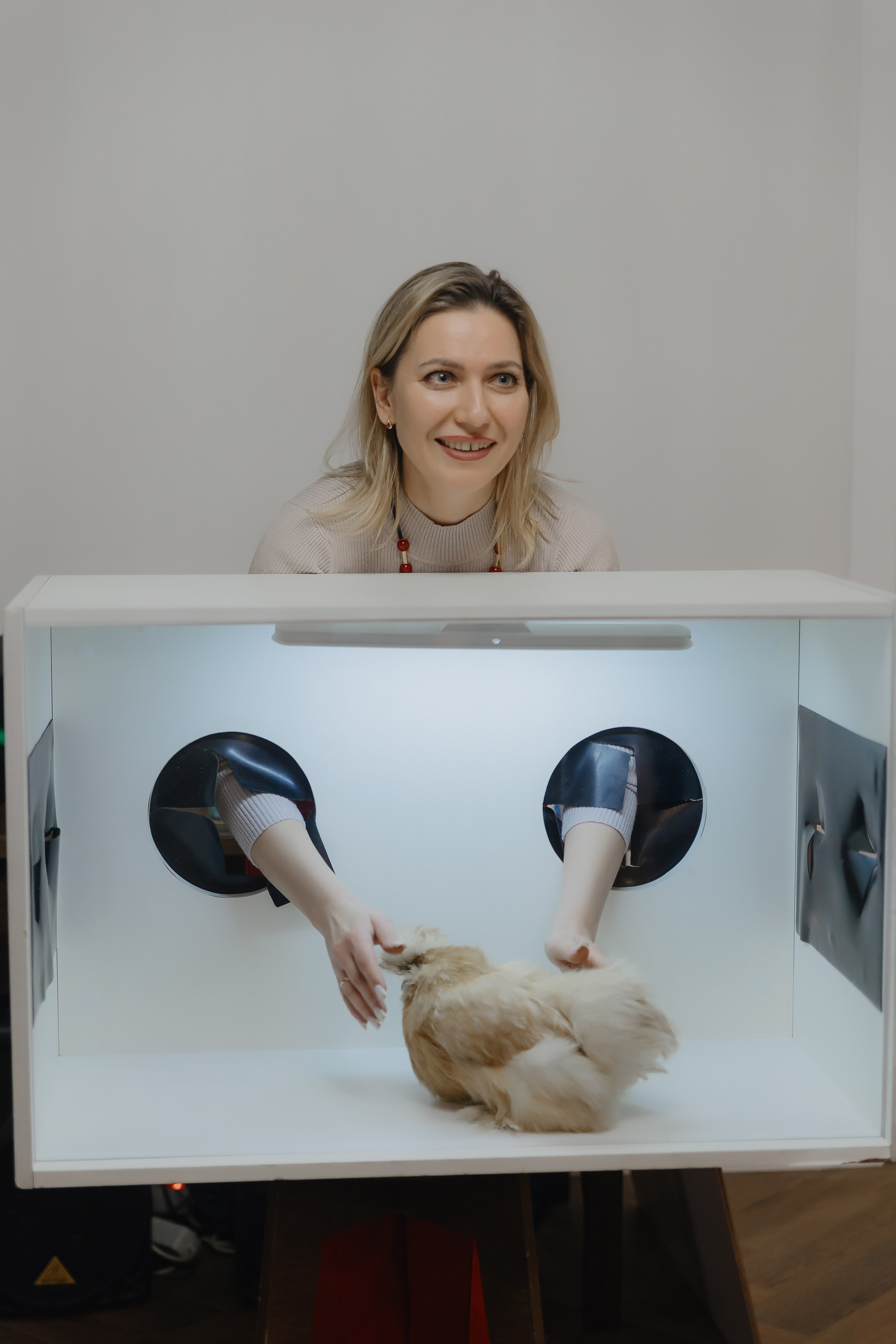 Открытие нового пространства интерьерного салона L. DECO в феврале 2025. L. Deco интерьерный салон. Краски/обои/лепной декор