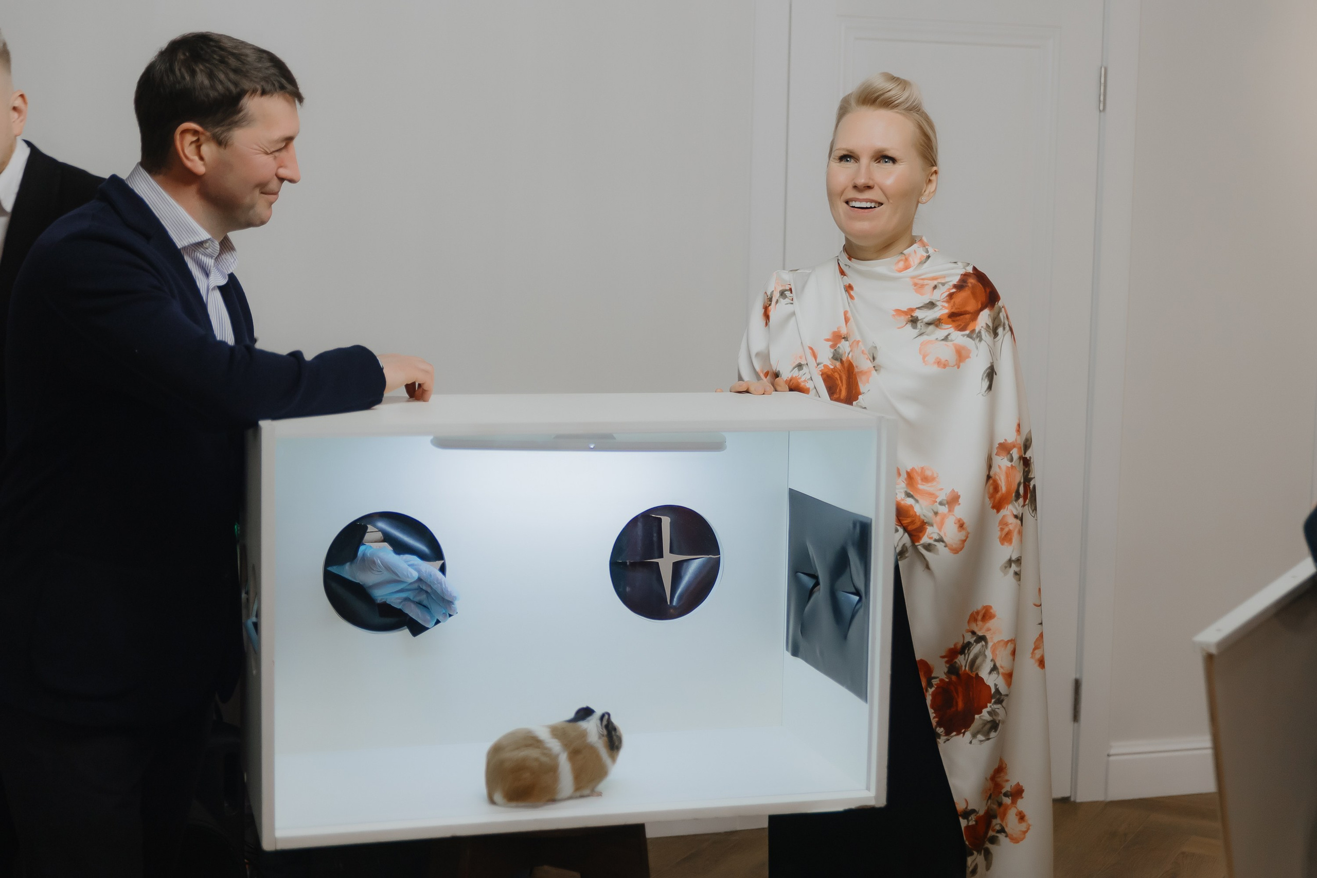 Открытие нового пространства интерьерного салона L. DECO в феврале 2025. L. Deco интерьерный салон. Краски/обои/лепной декор