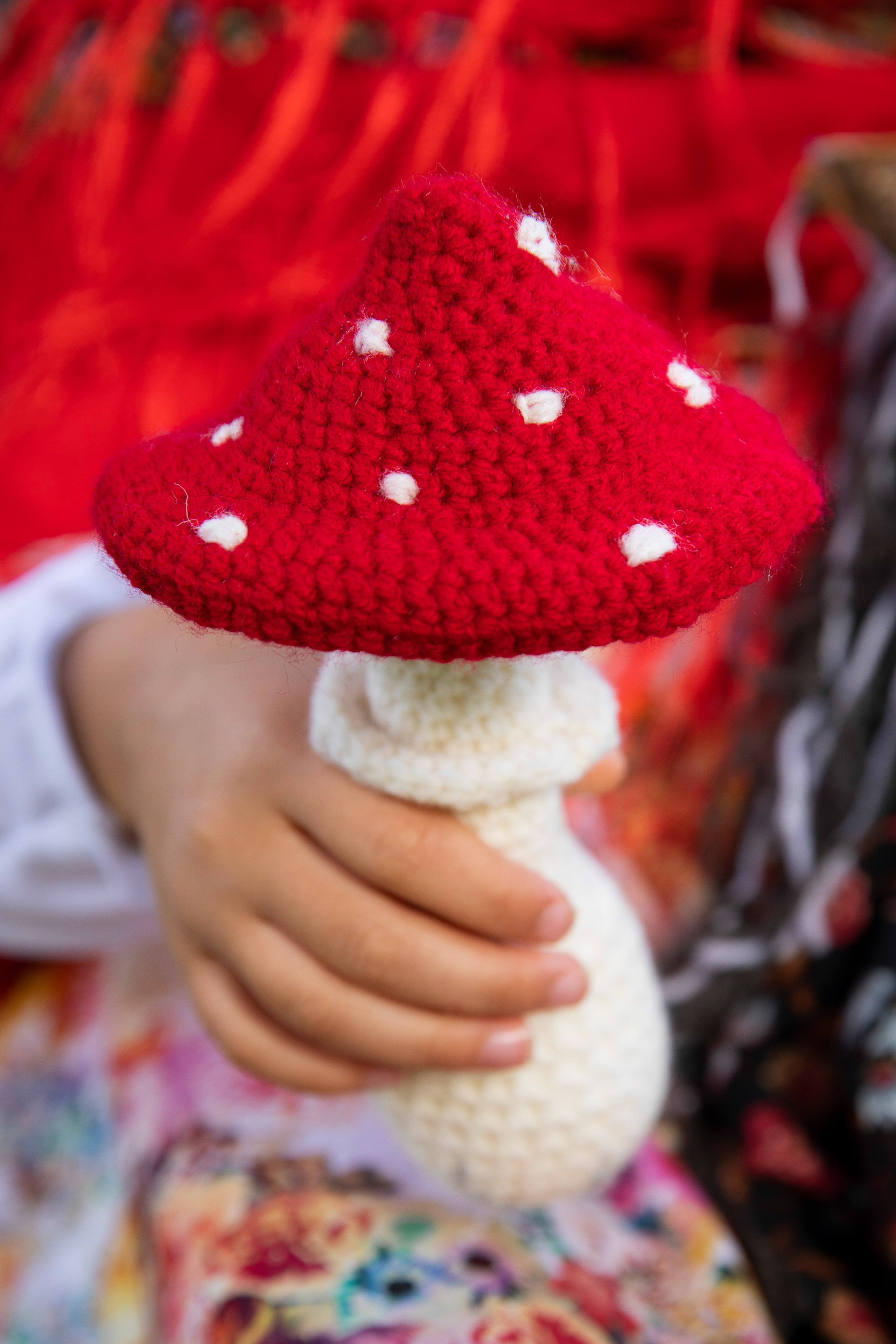 Ариша. Семейный и школьный фотограф Катерина Голубева