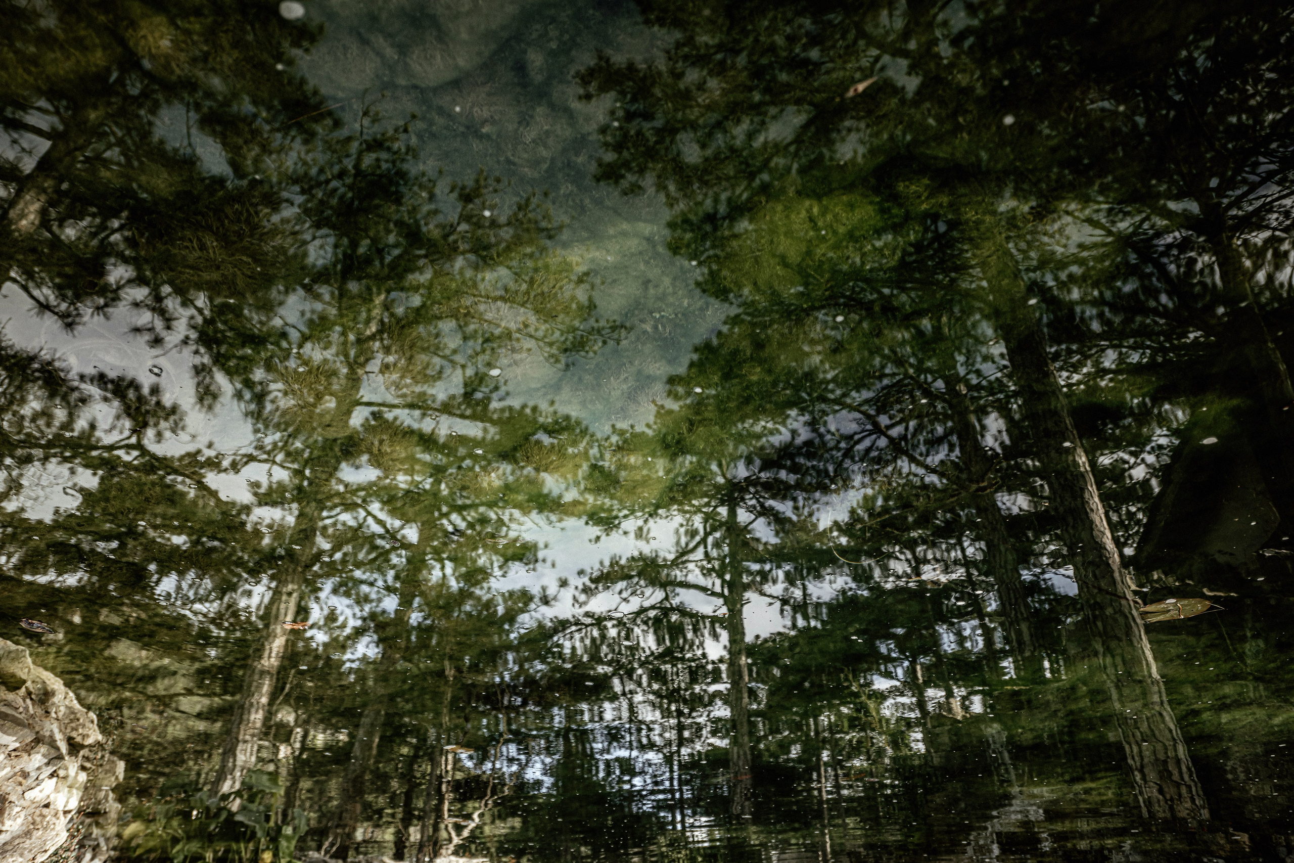 Свадебная фотосессия в отеле Паласа ( Крым). Свадебный и семейный фотограф и видеограф, Крым, Москва, Санкт -Петербург