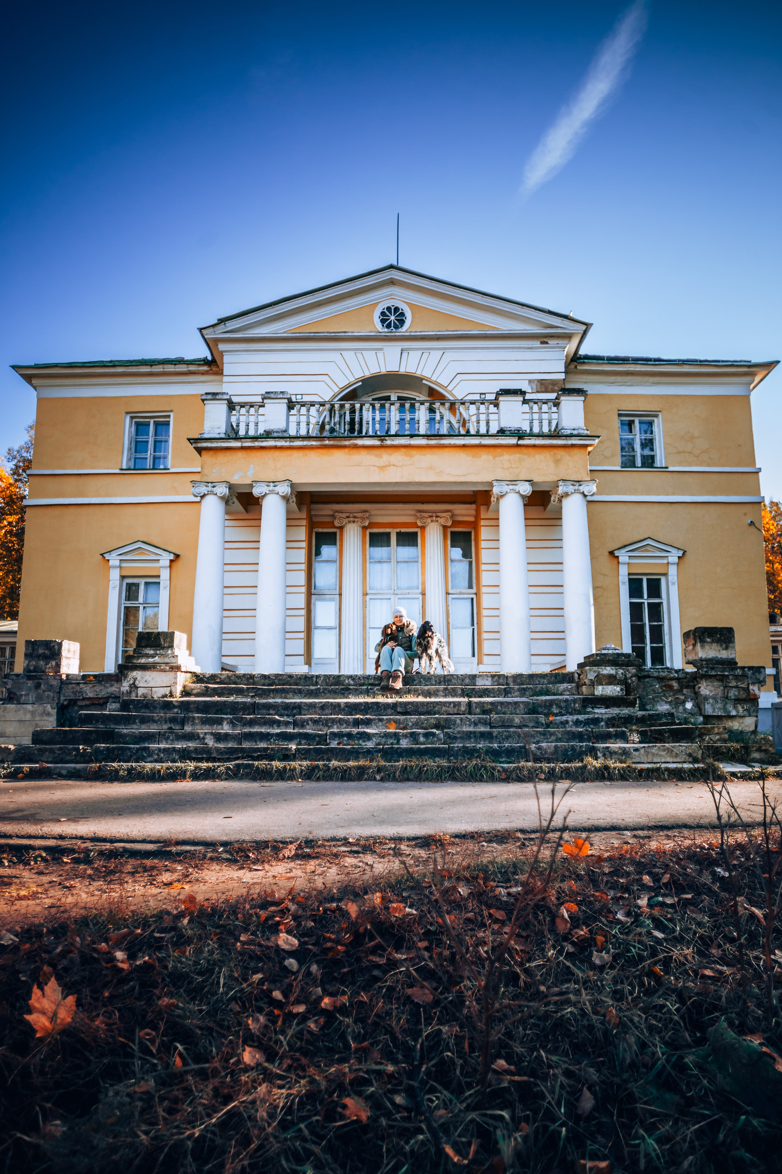 Света, Хайди, Богдана. Фотограф-анималист Татьяна Степанова