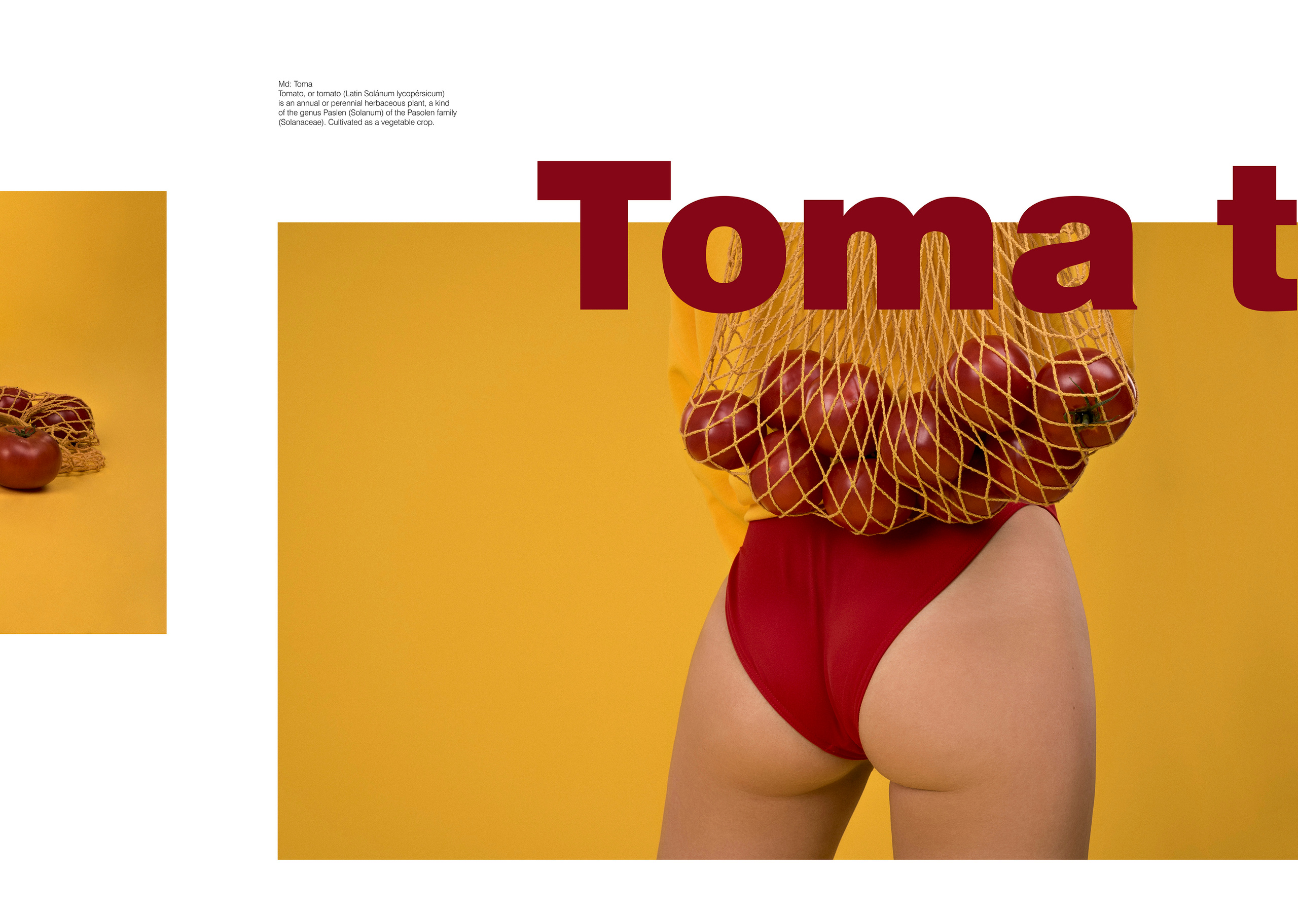 Fashion съемка. Фотограф Антон Рожин Москва