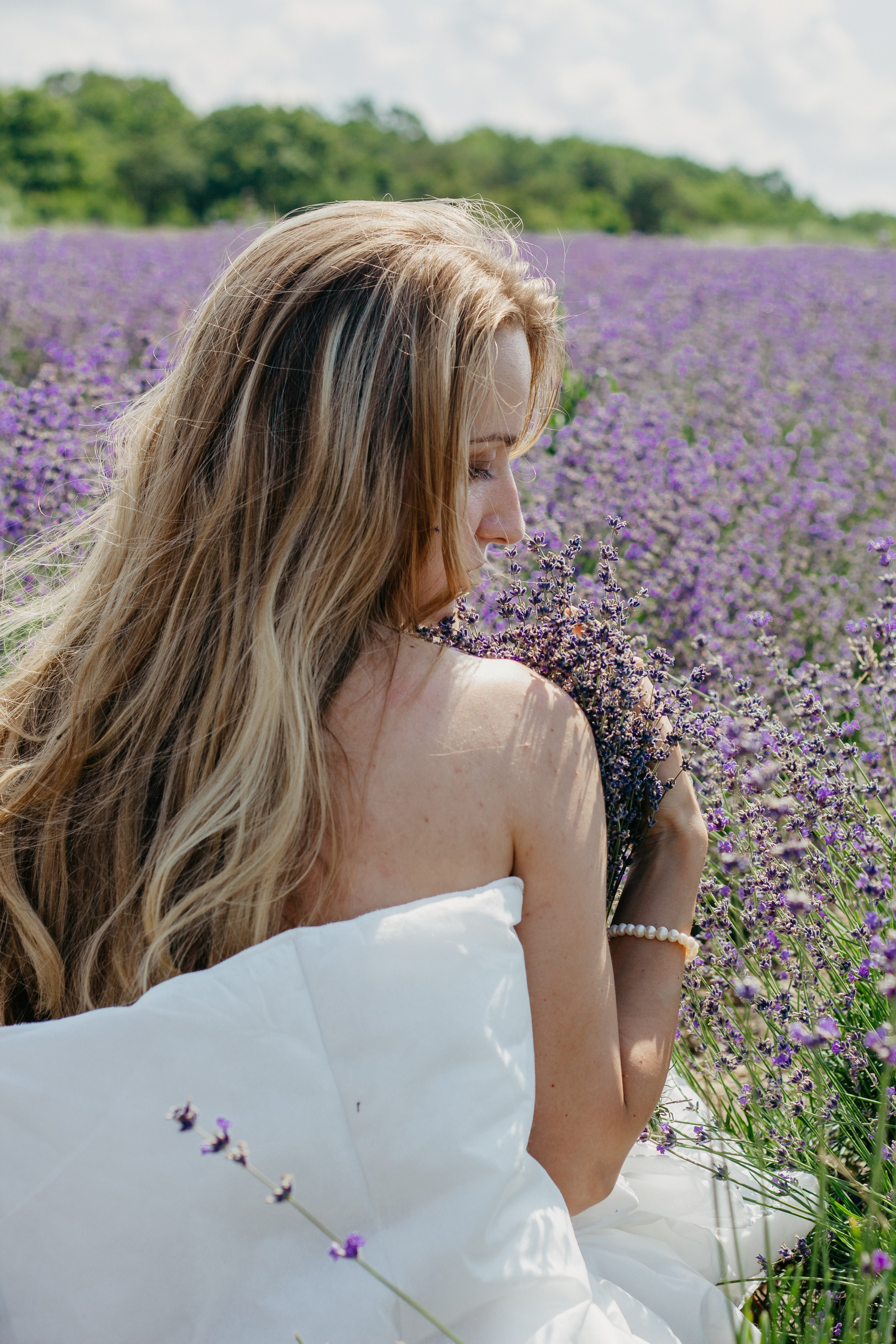 Лаванда. Главная