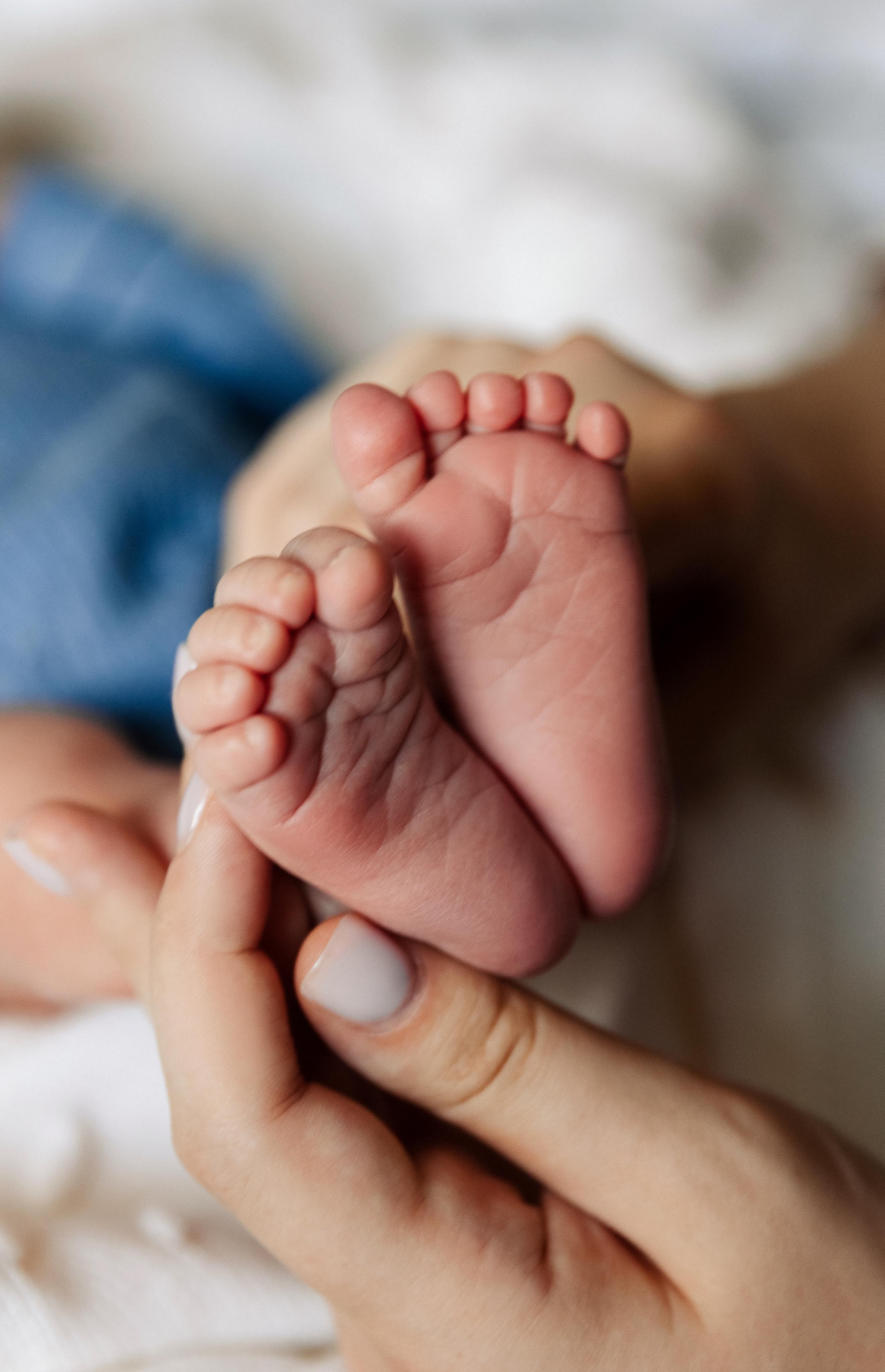 Аарон. Свадебный и семейный фотограф в Ростове-на_дону, Тамара Оганесян