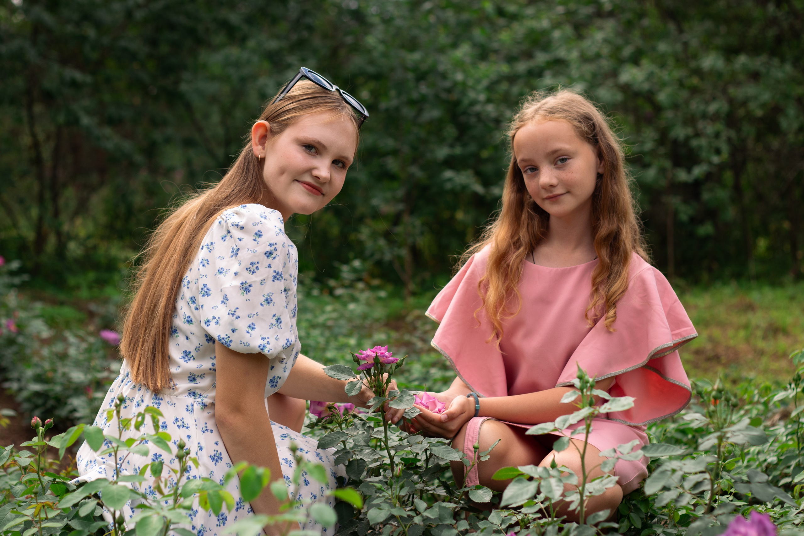 FLOWER MAGIC | Саженцы роз. Портретный и репортажный фотограф в СПб | Яна Сидоренко