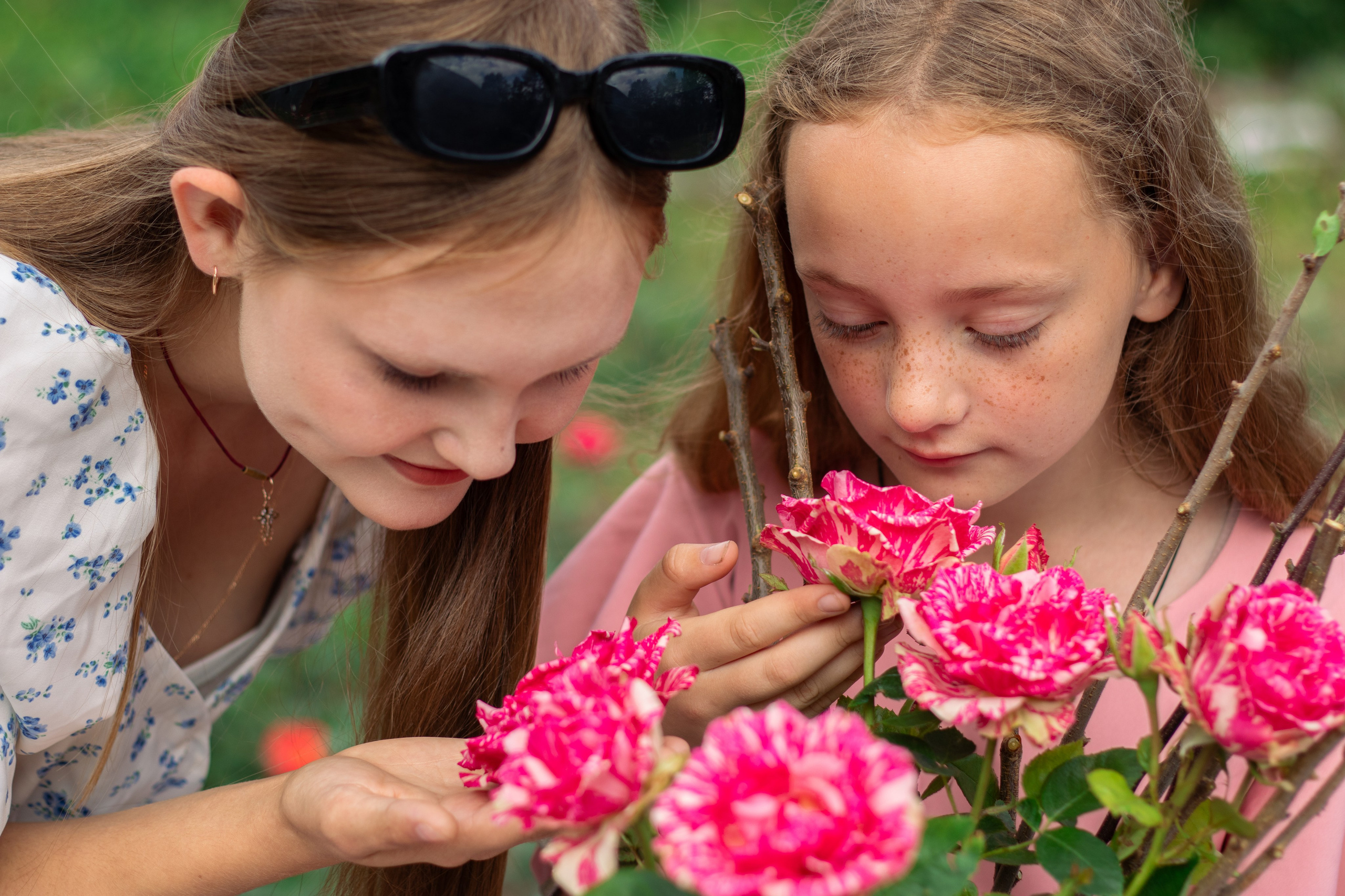 FLOWER MAGIC | Саженцы роз. Портретный и репортажный фотограф в СПб | Яна Сидоренко