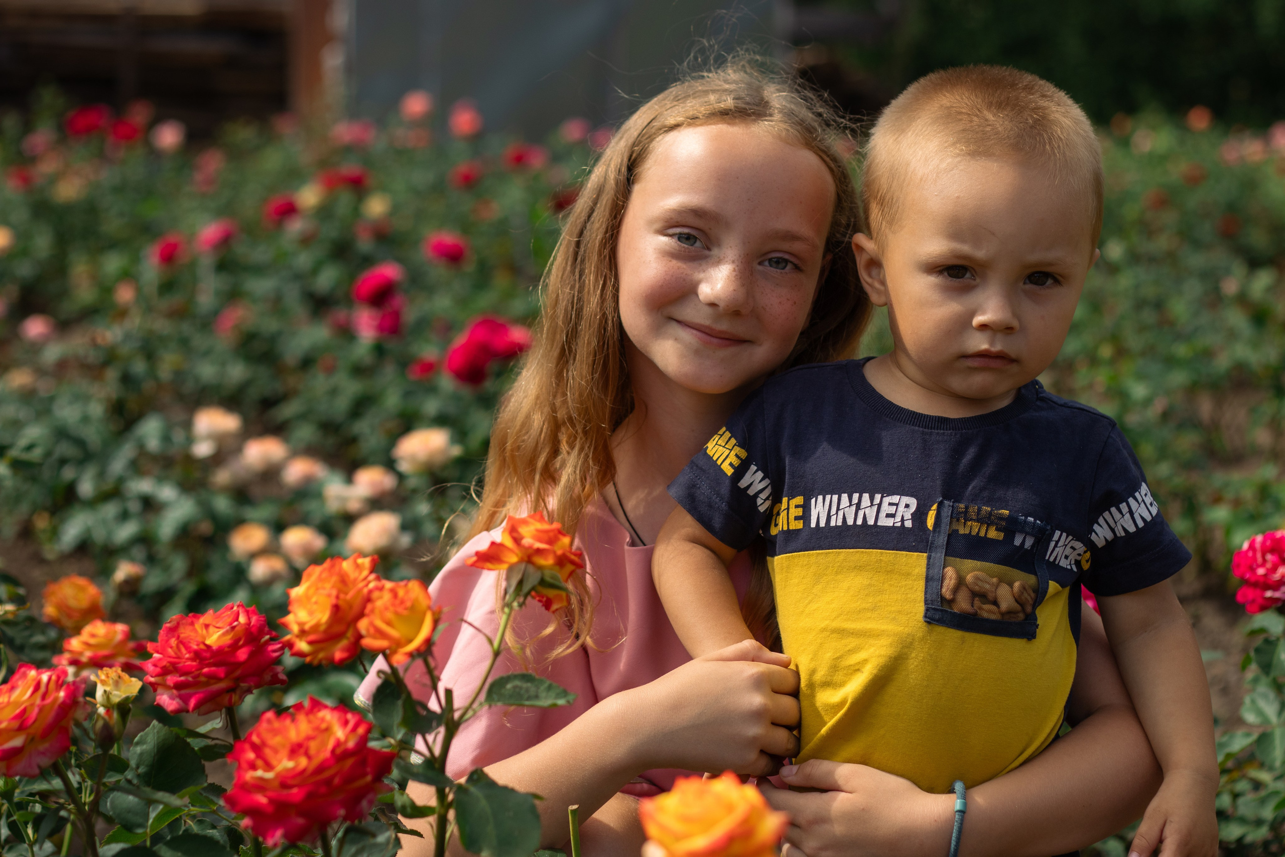 FLOWER MAGIC | Саженцы роз. Портретный и репортажный фотограф в СПб | Яна Сидоренко