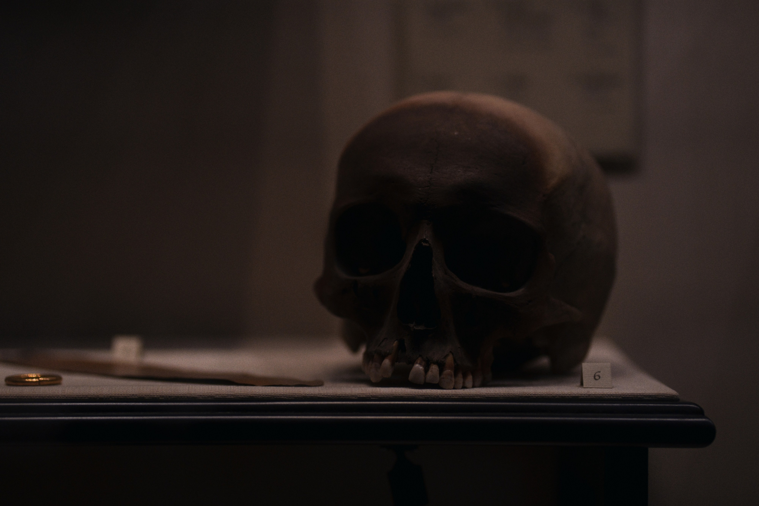 Archaeological Museum / Istanbul, Türkey SS25. Фотограф Юрин Евгений