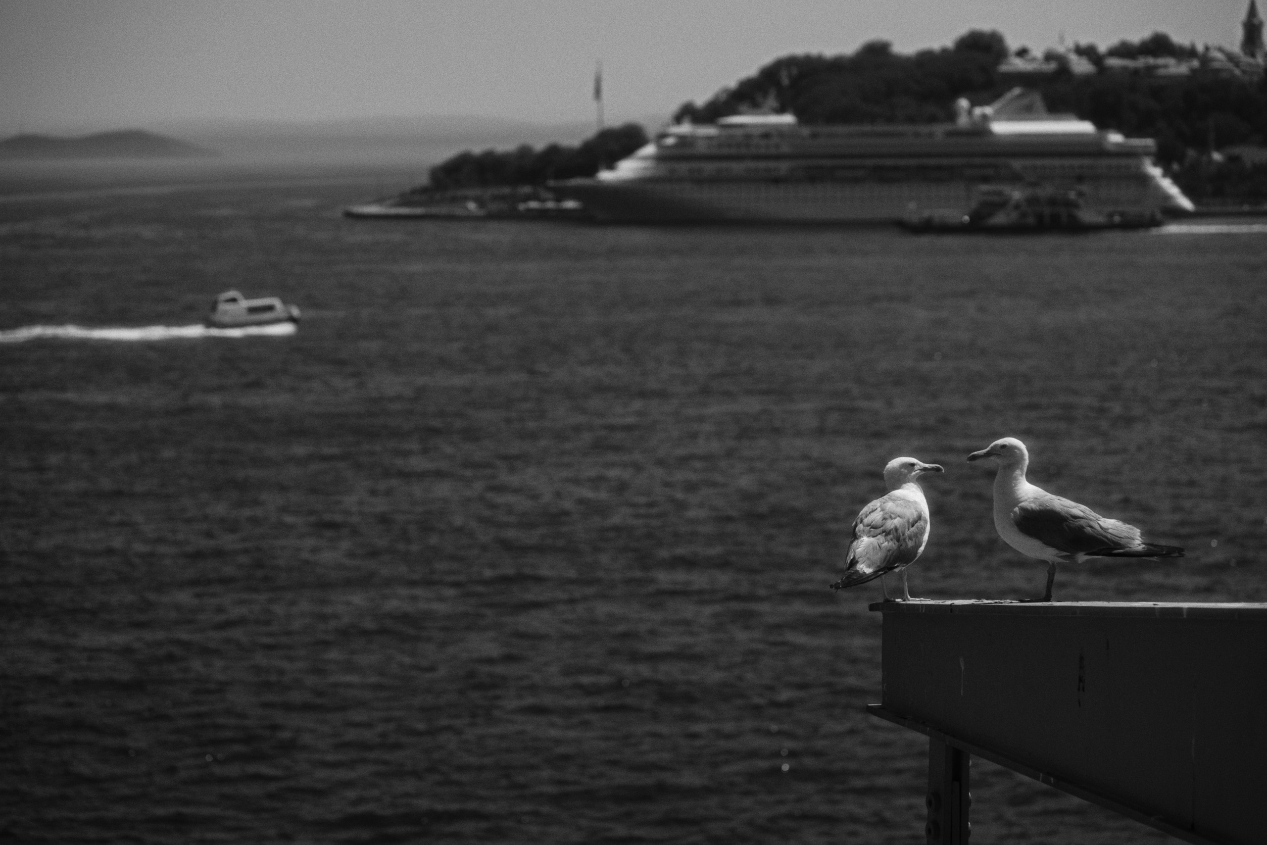 Istanbul Modern. Фотограф Юрин Евгений