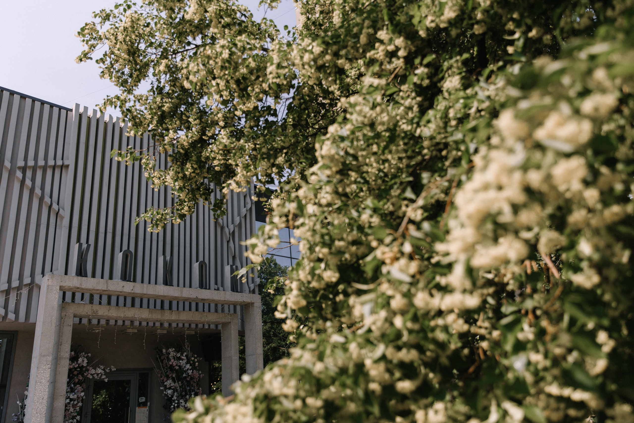 Сезон пионов. Фотограф Елена Краснопевцева