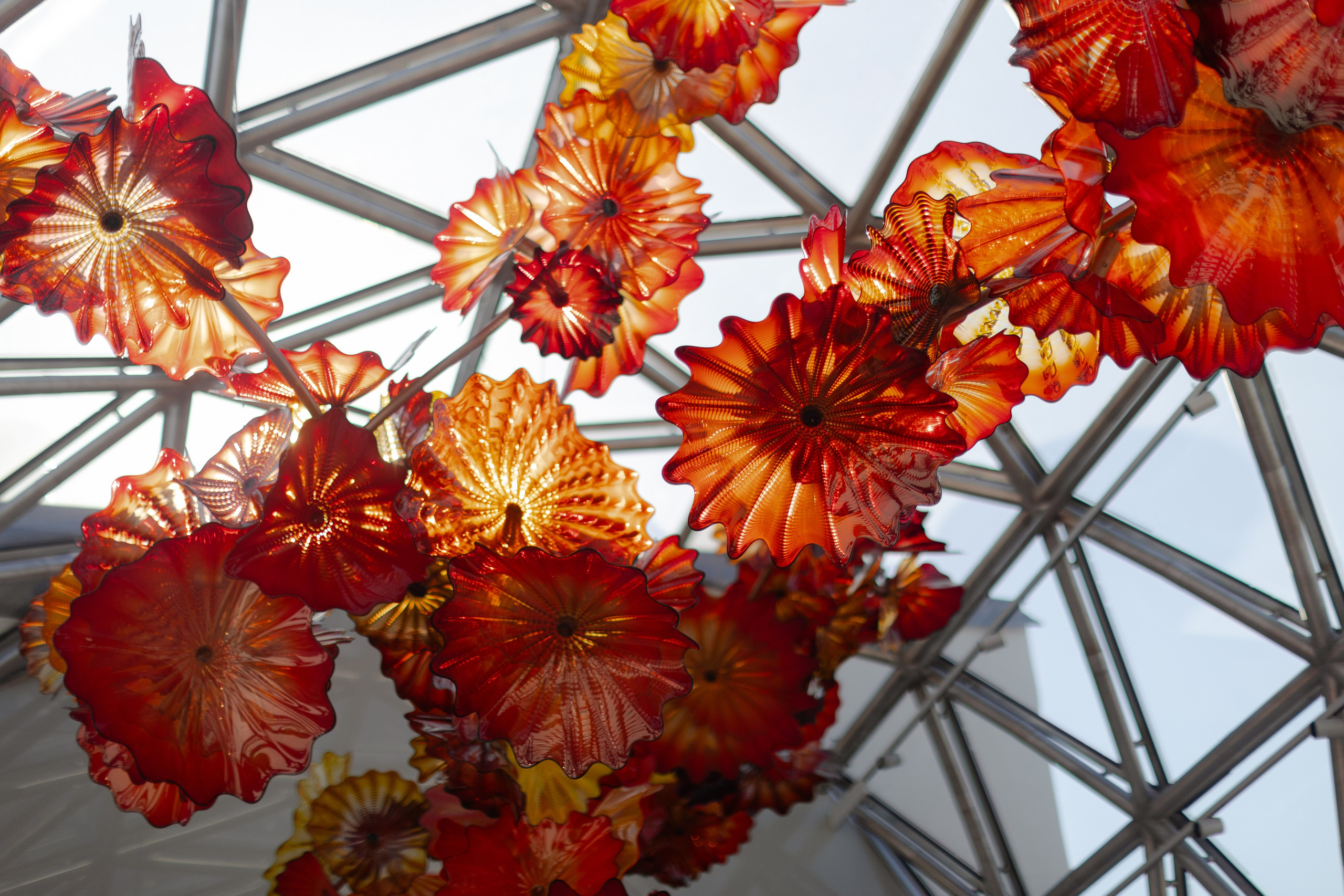 Александр и Анна: осенний Петербург и любовь на двоих. @dariazphoto свадебный фотограф