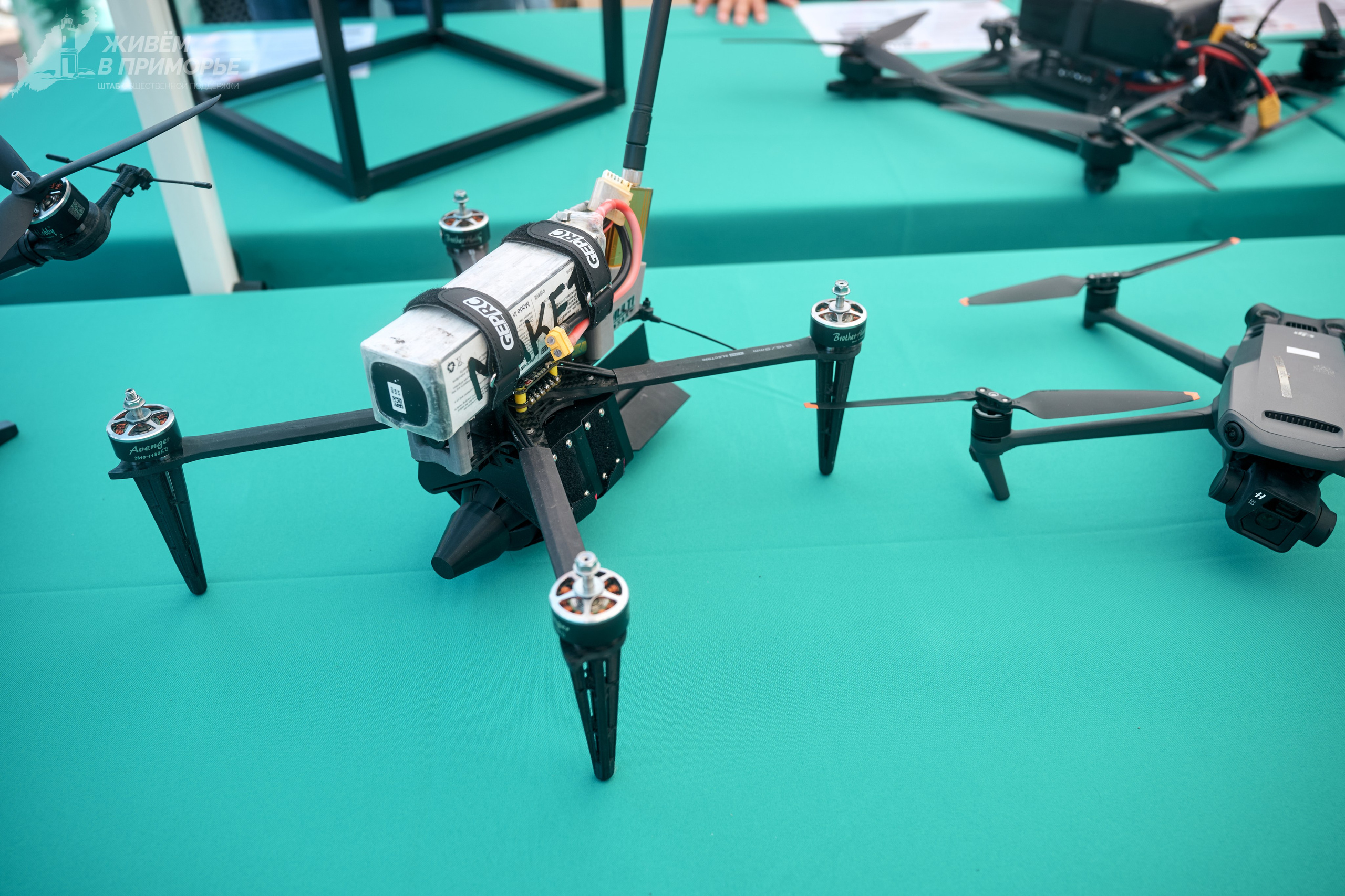 День России 12.06.25. Профессиональный репортажный фотограф Инесса Иминова