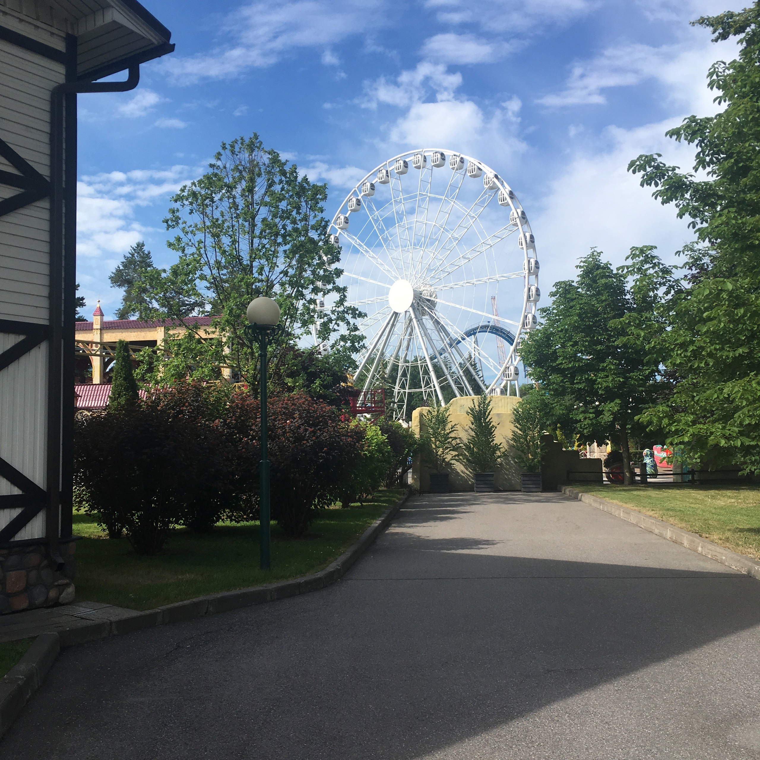 Дивоостров -19. Своя Мастерская