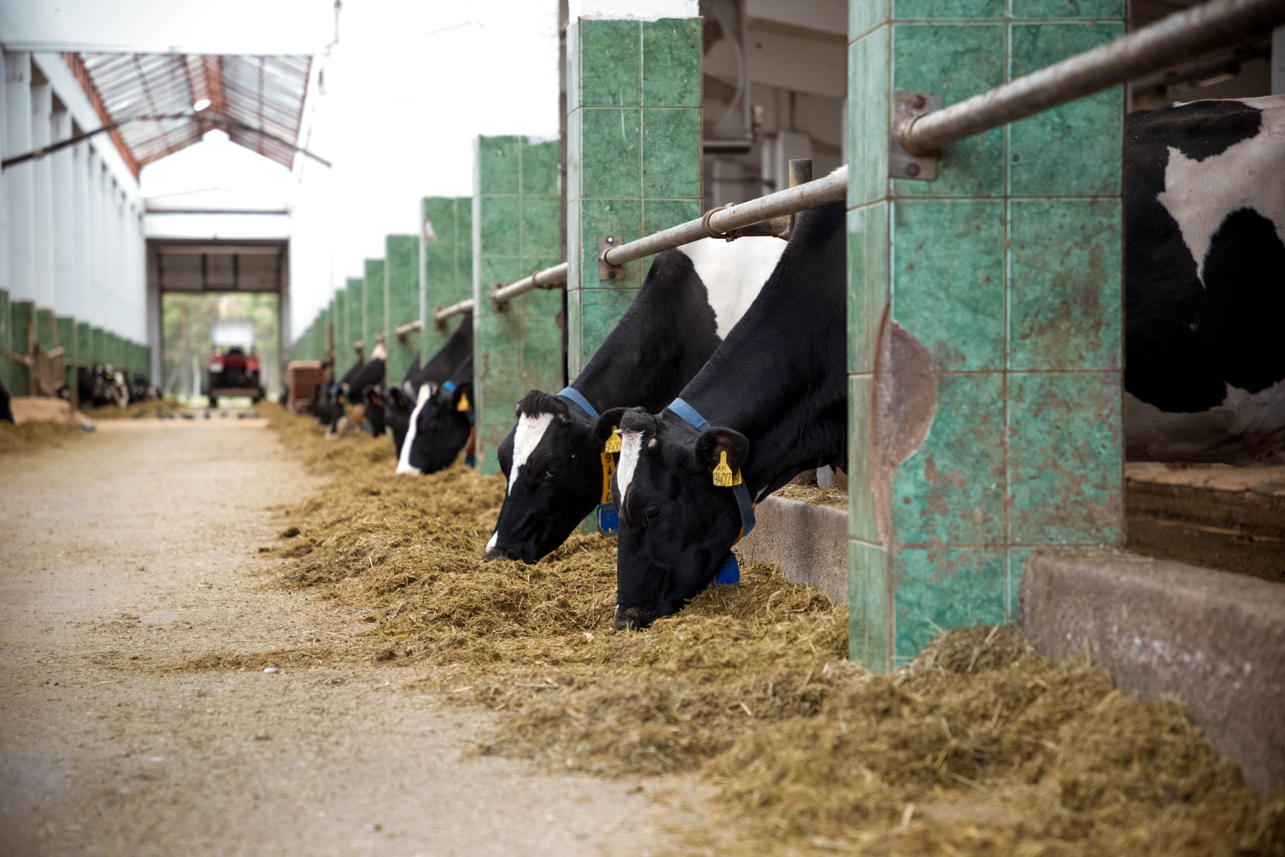 Репортаж. Белякова Кристина — репортажный и портретный фотограф в Твери