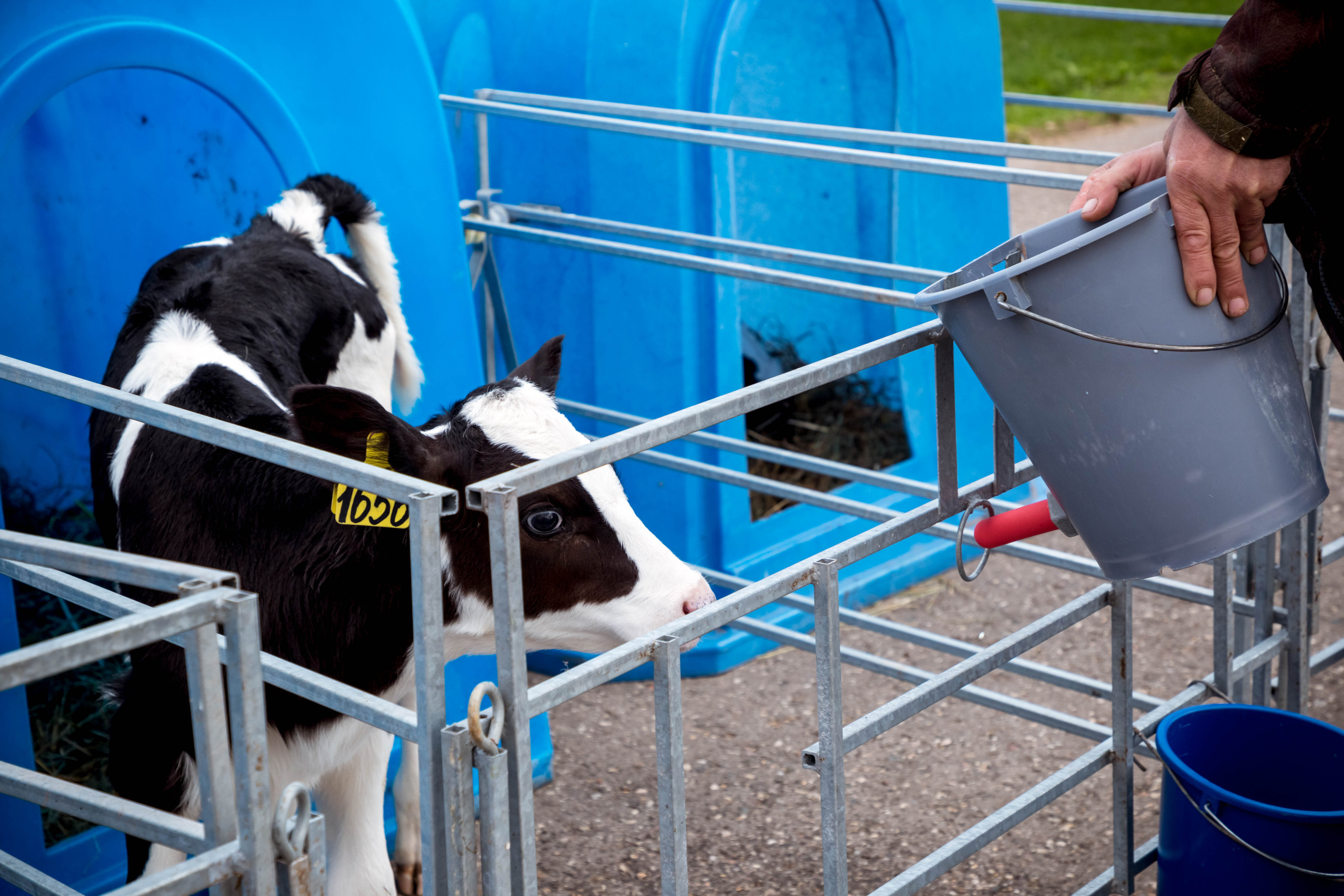 Репортаж. Белякова Кристина — репортажный и портретный фотограф в Твери