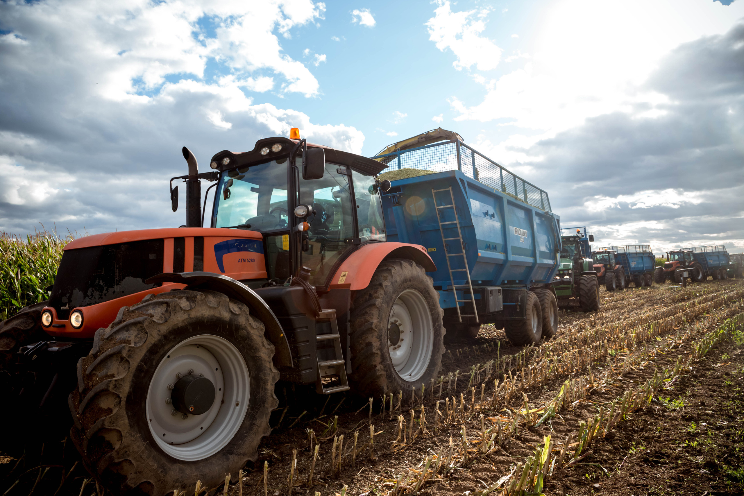 Репортаж. Белякова Кристина — репортажный и портретный фотограф в Твери
