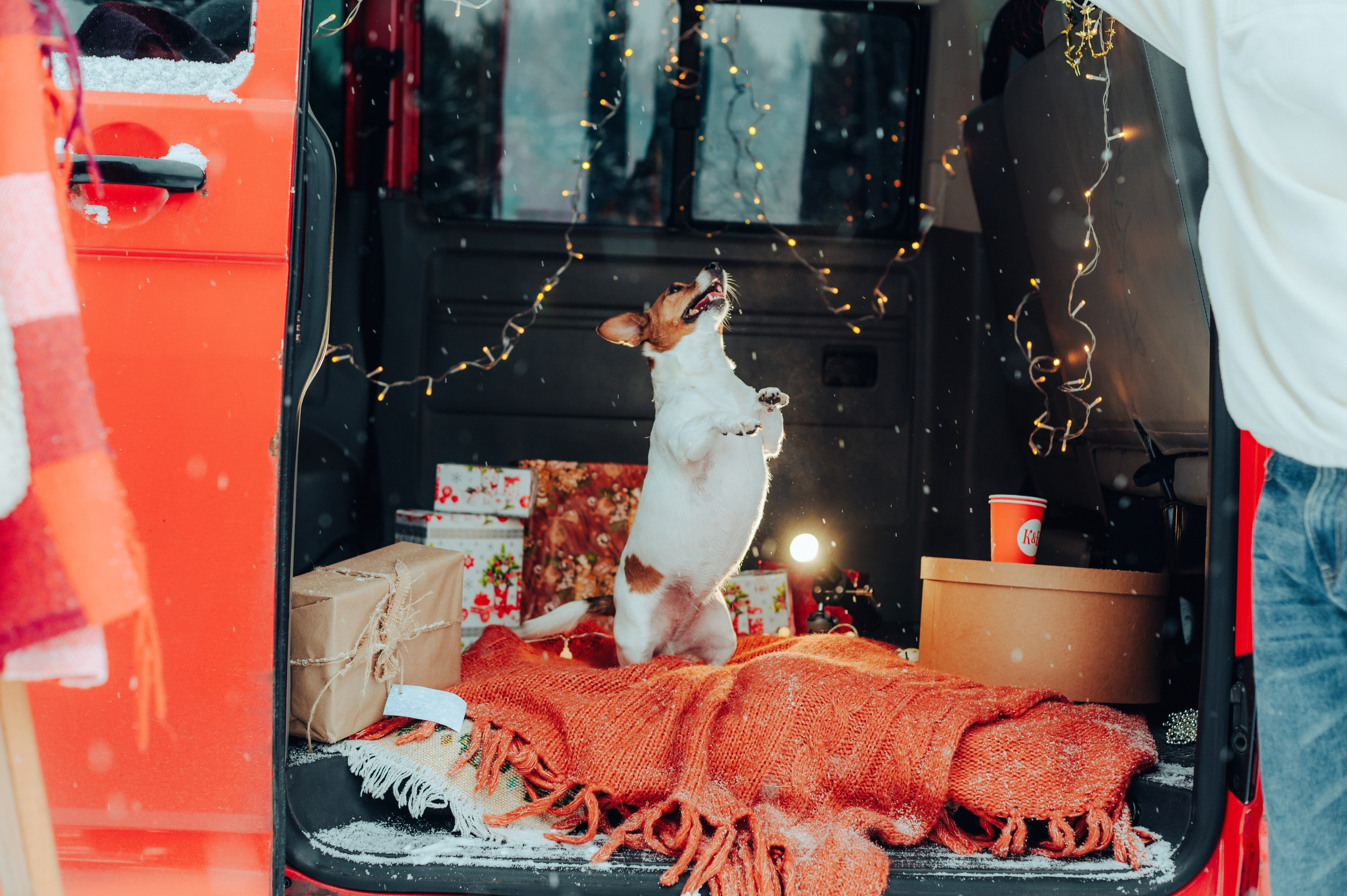 Вика и Денис. Детский и семейный фотограф Катерина Мишина