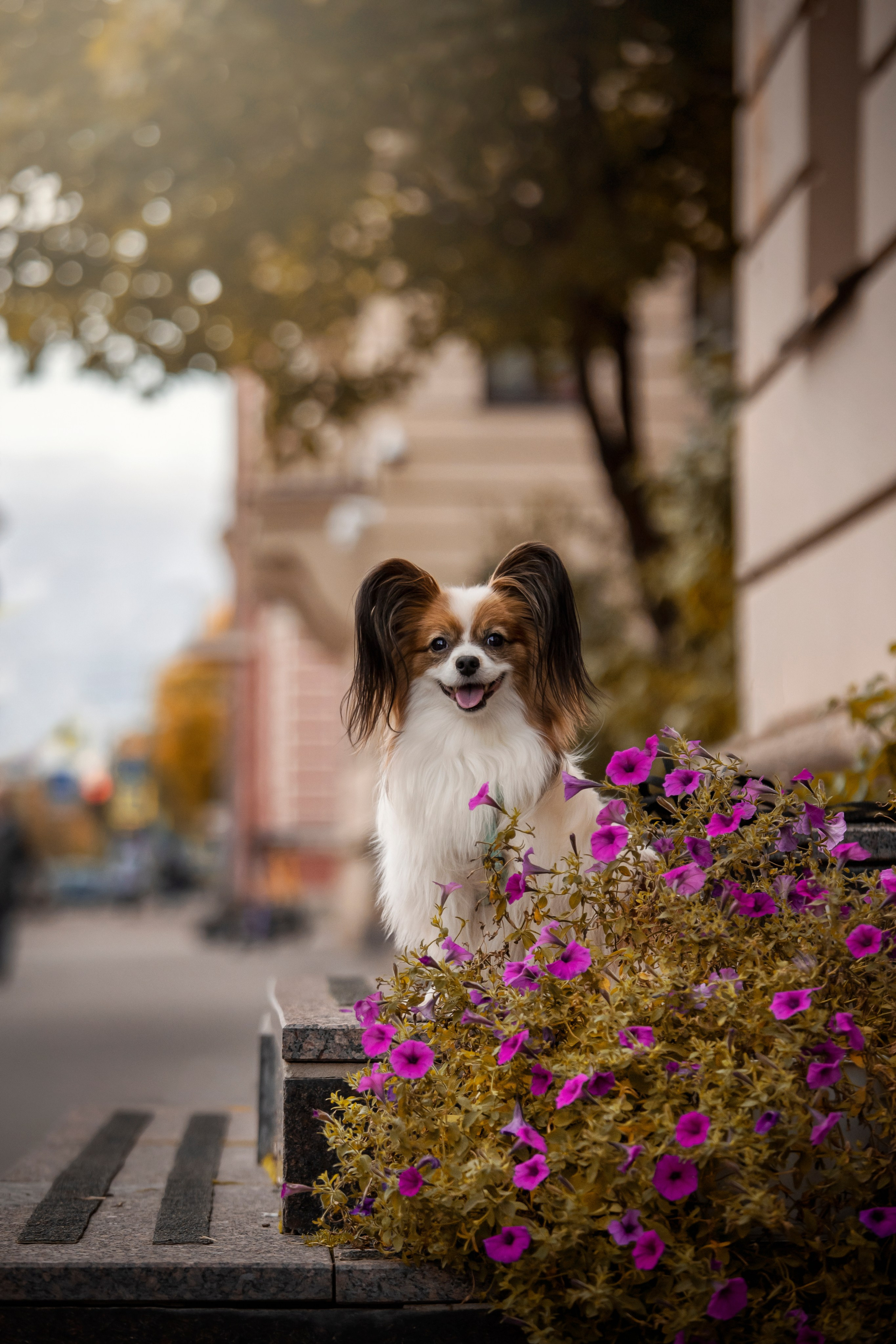 Ваня и его семья. Фотограф — Анималист | Санкт-Петербург