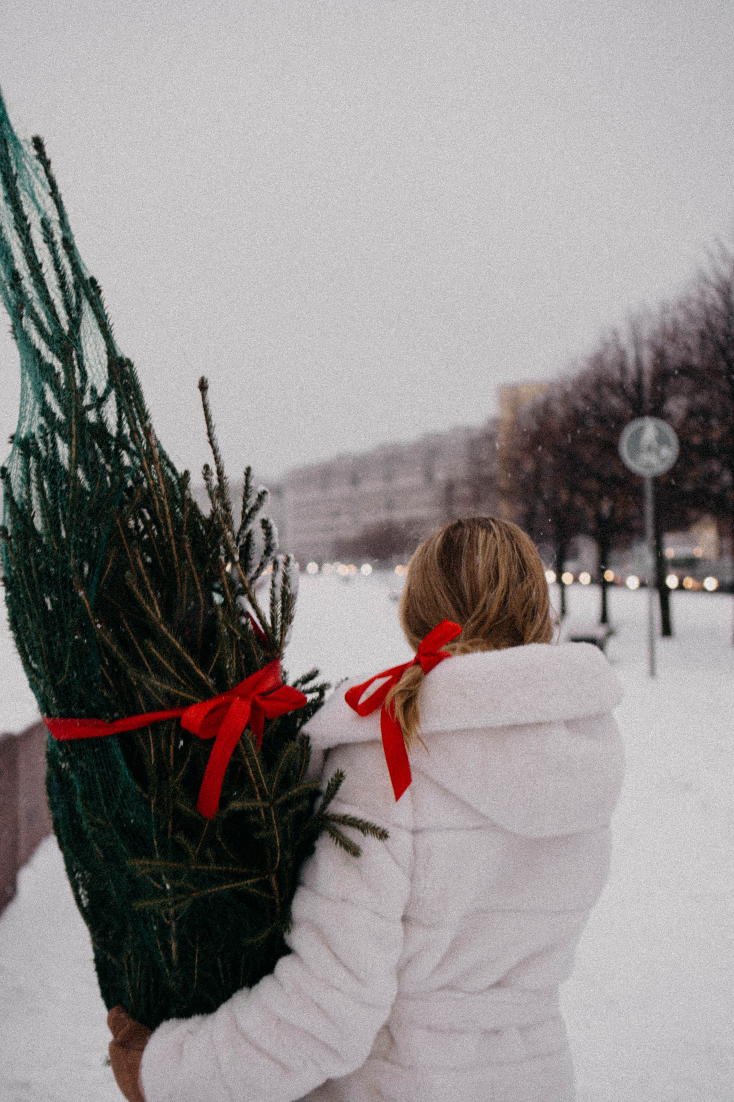 Новогодняя. Профессиональный фотограф, Санкт-Петербург — Виктория Богомолова