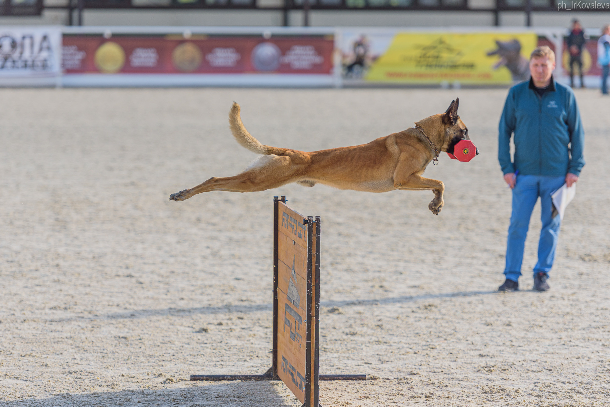 Фотограф анималист в Санкт-Петербурге Ирина Ковалева