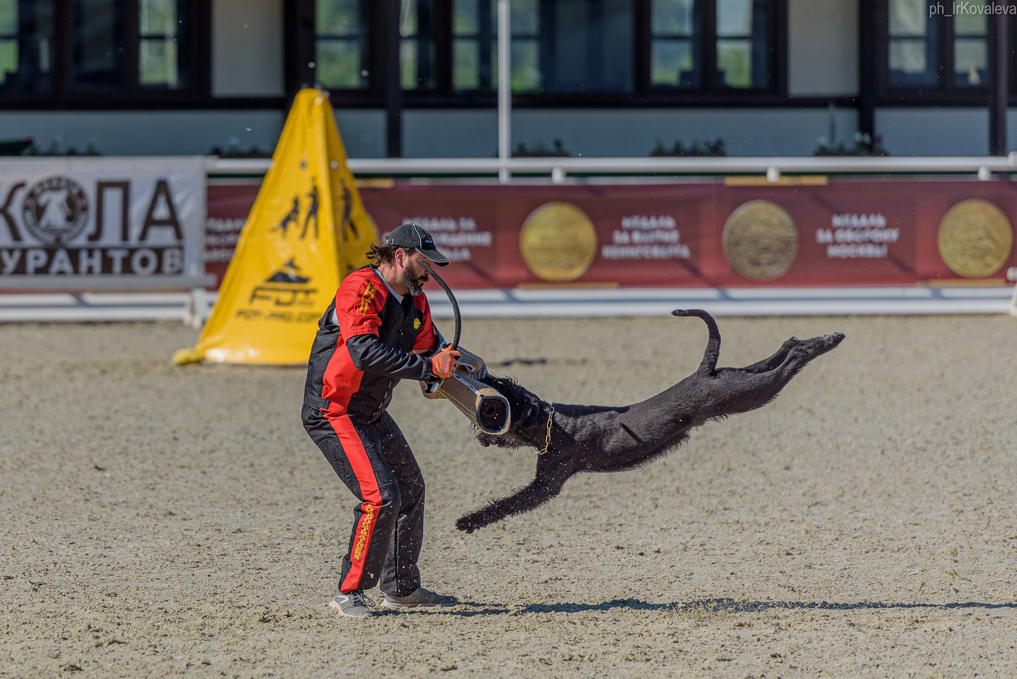 Фотограф анималист в Санкт-Петербурге Ирина Ковалева