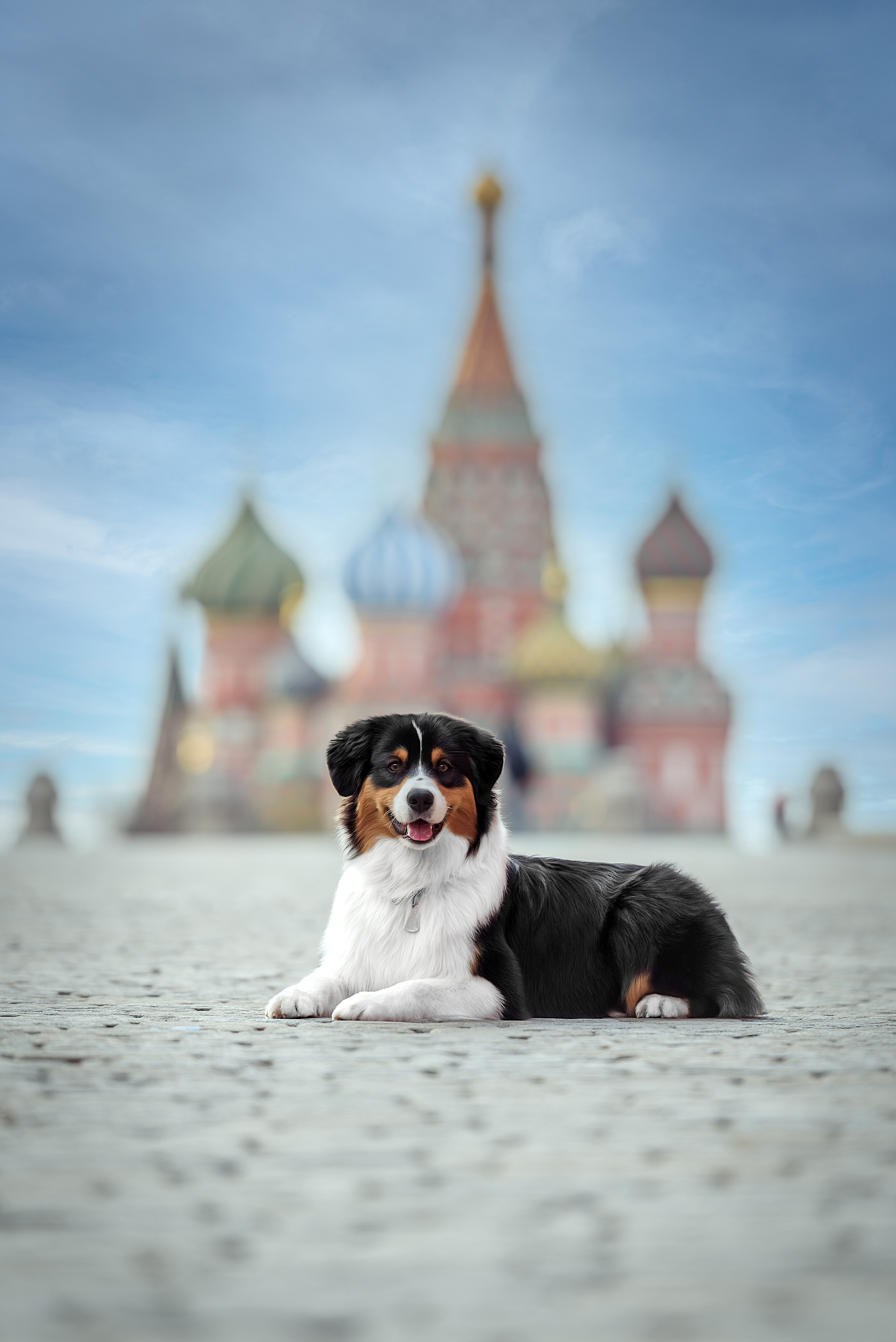 Фотограф анималист в Санкт-Петербурге Ирина Ковалева