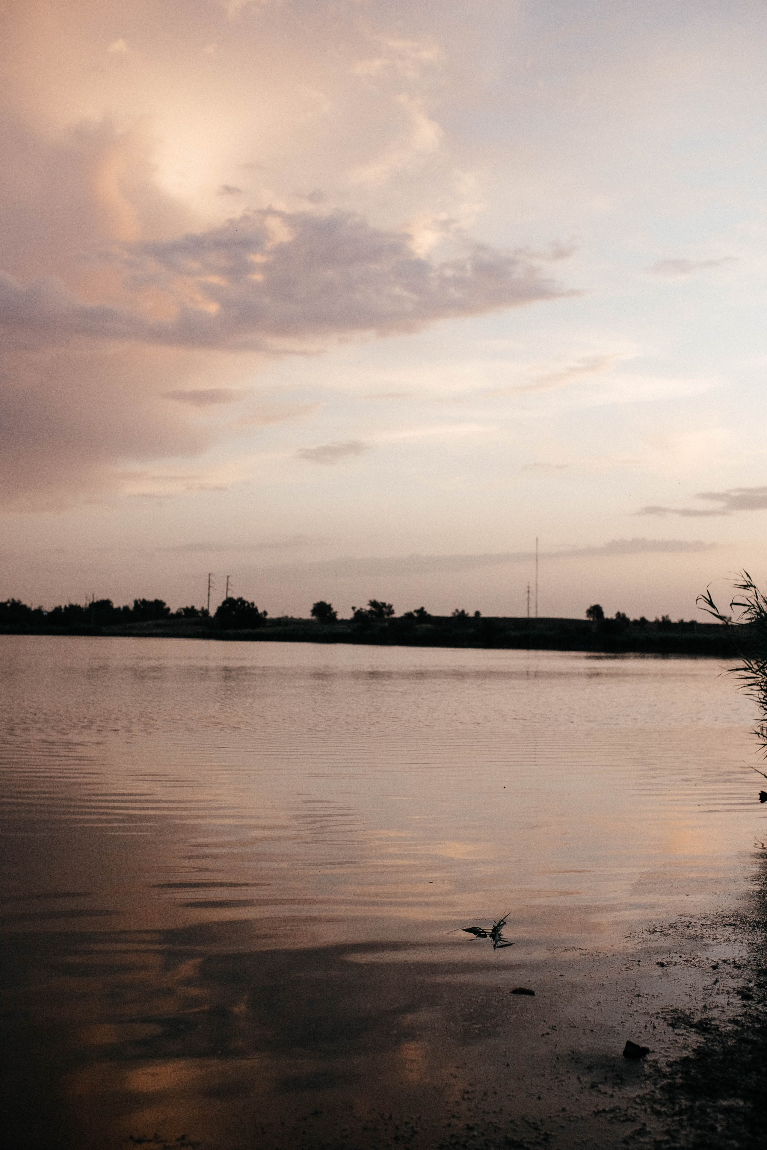Ксения. Фотограф Сальск Катерина
