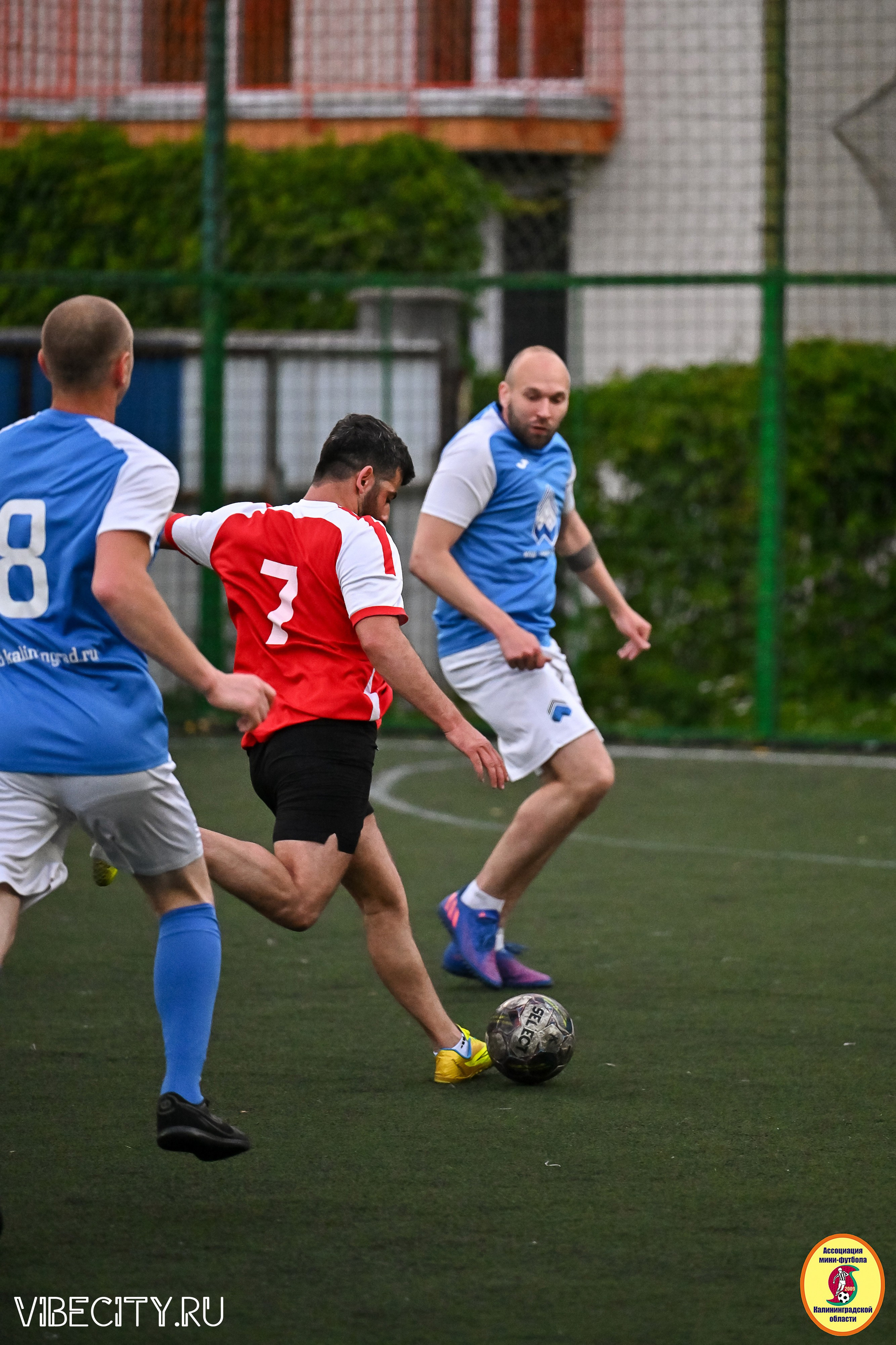 ИГРЫ МИНИ-ФУТБОЛЬНОЙ И КОРПОРАТИВНОЙ ЛИГИ. VIBECITY.RU Вайб Сити Ру Фоторепортажи Фотоотчеты Калининград