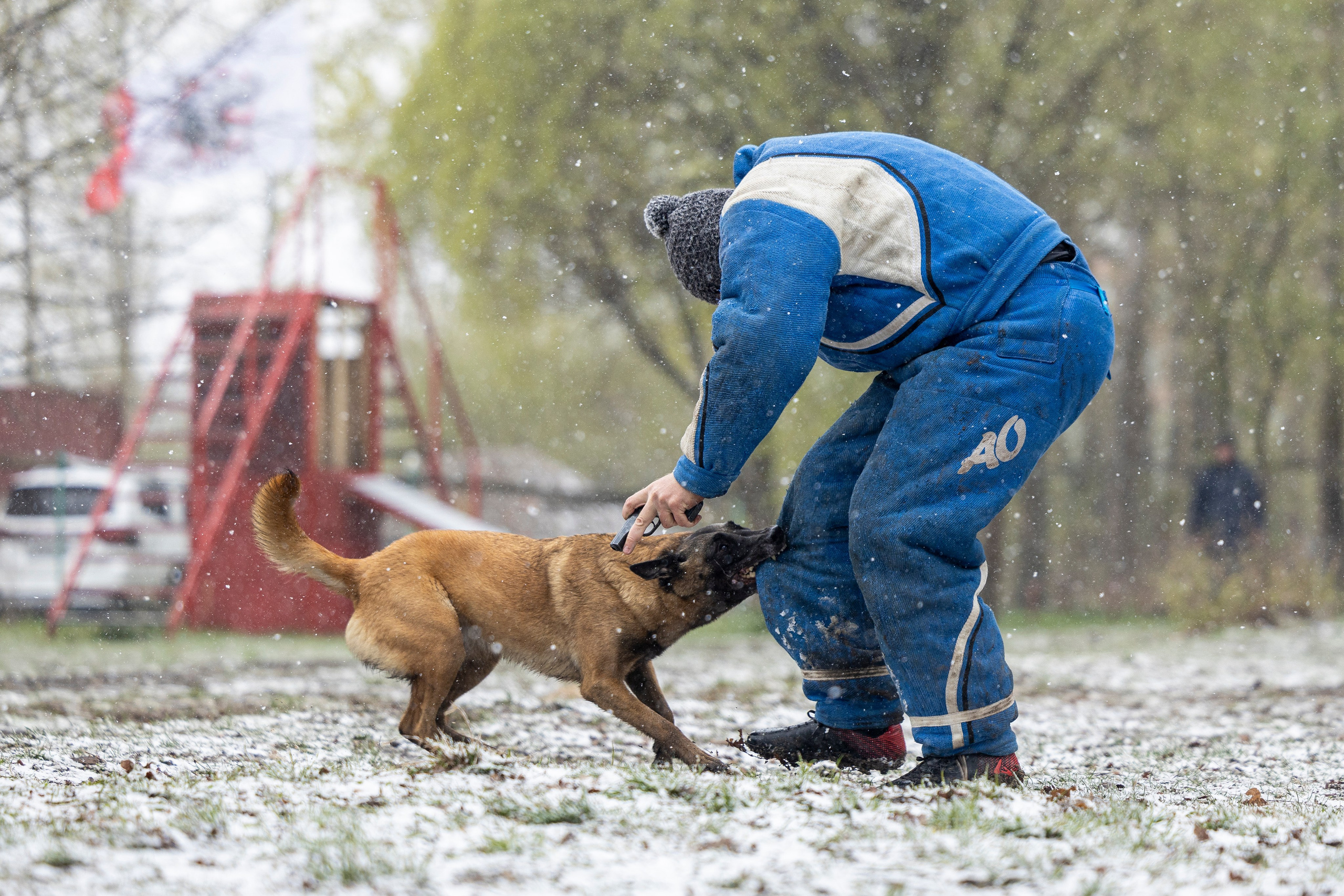 Квалификационные состязания по мондьорингу г. Вологда 11.05.24. Фотограф-анималист Анна Маринич